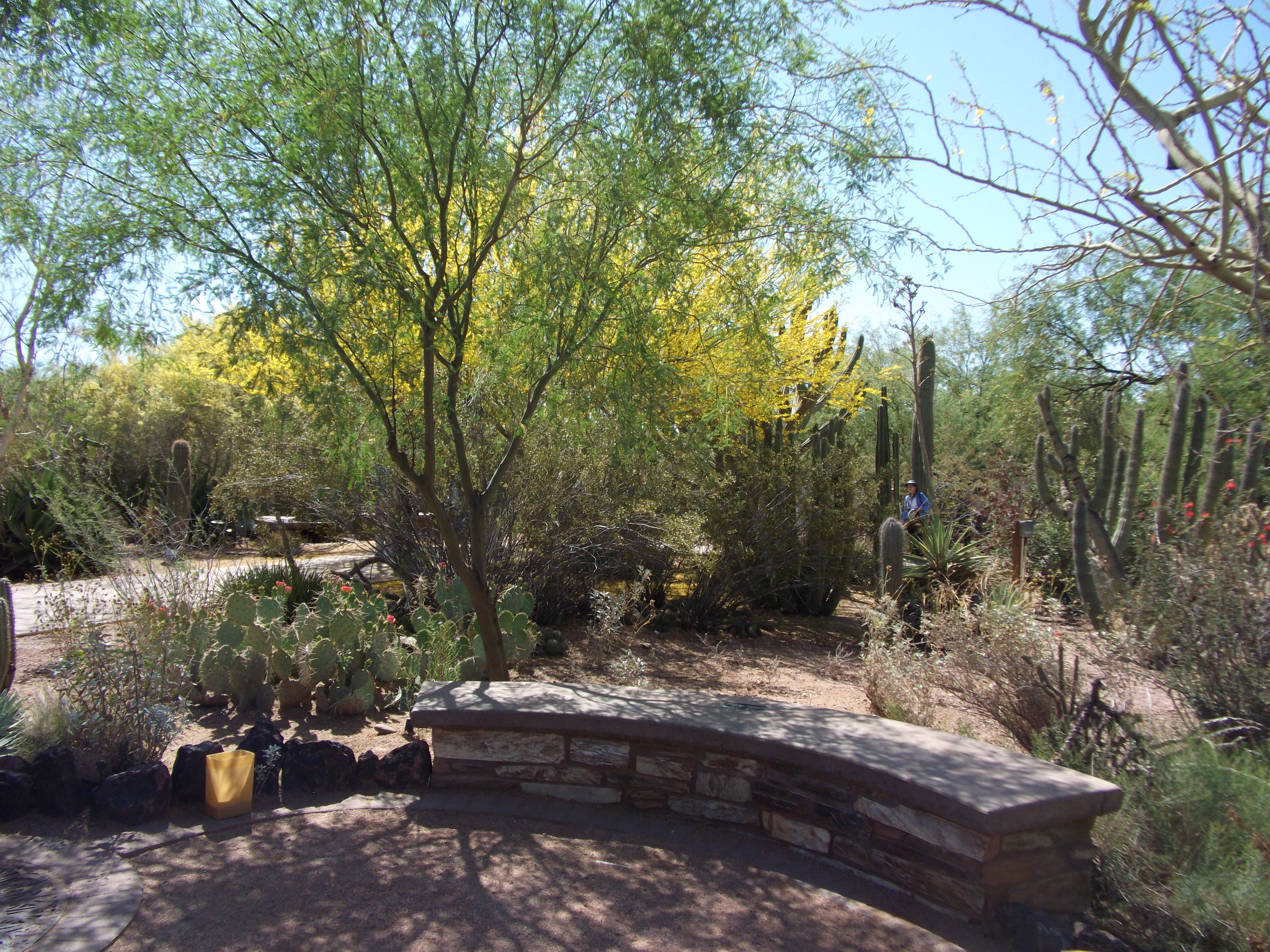 2012_04_28_botanical_sk_0046.jpg (large)