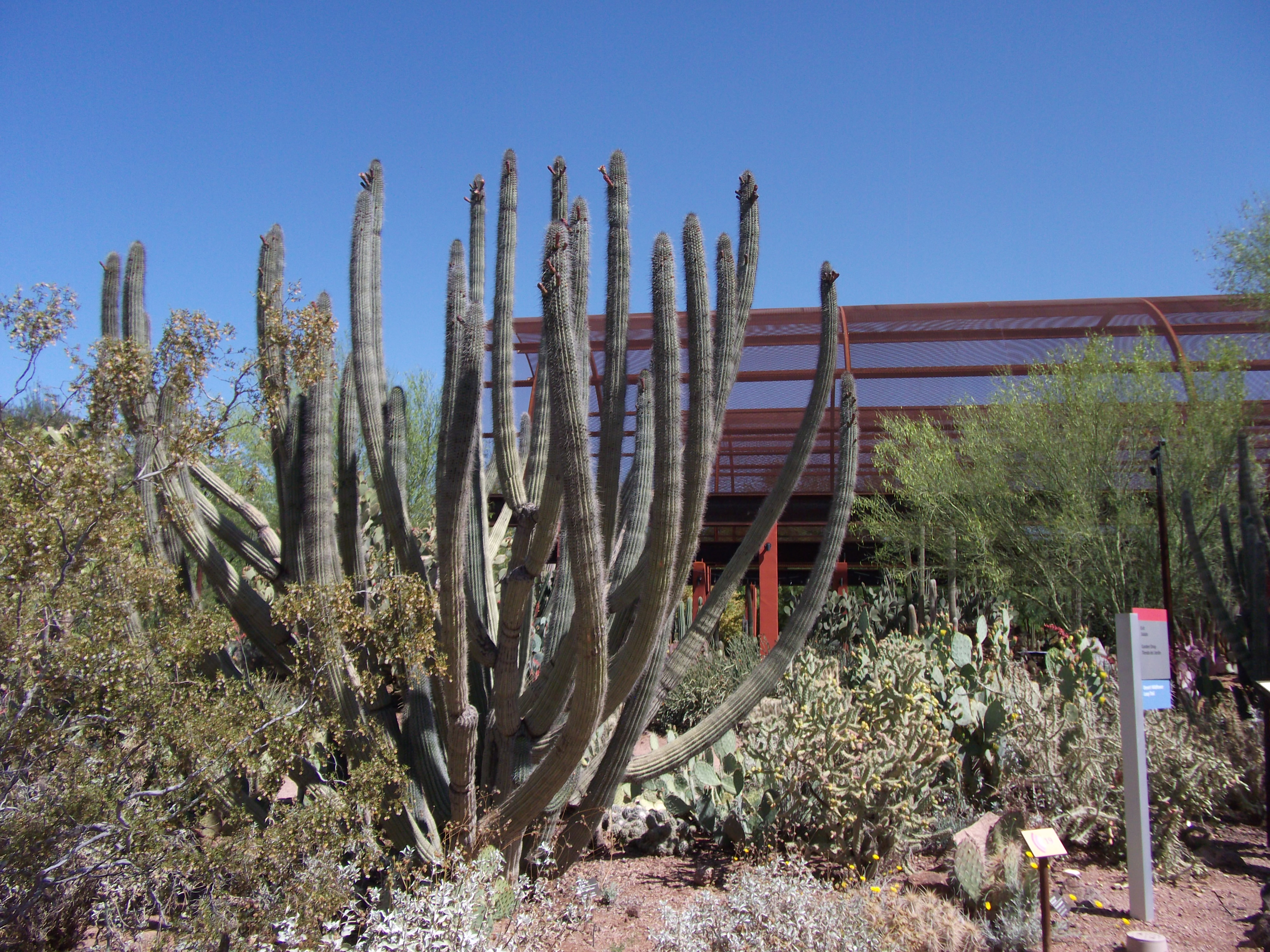 2012_04_28_botanical_sk_0047.jpg (large)