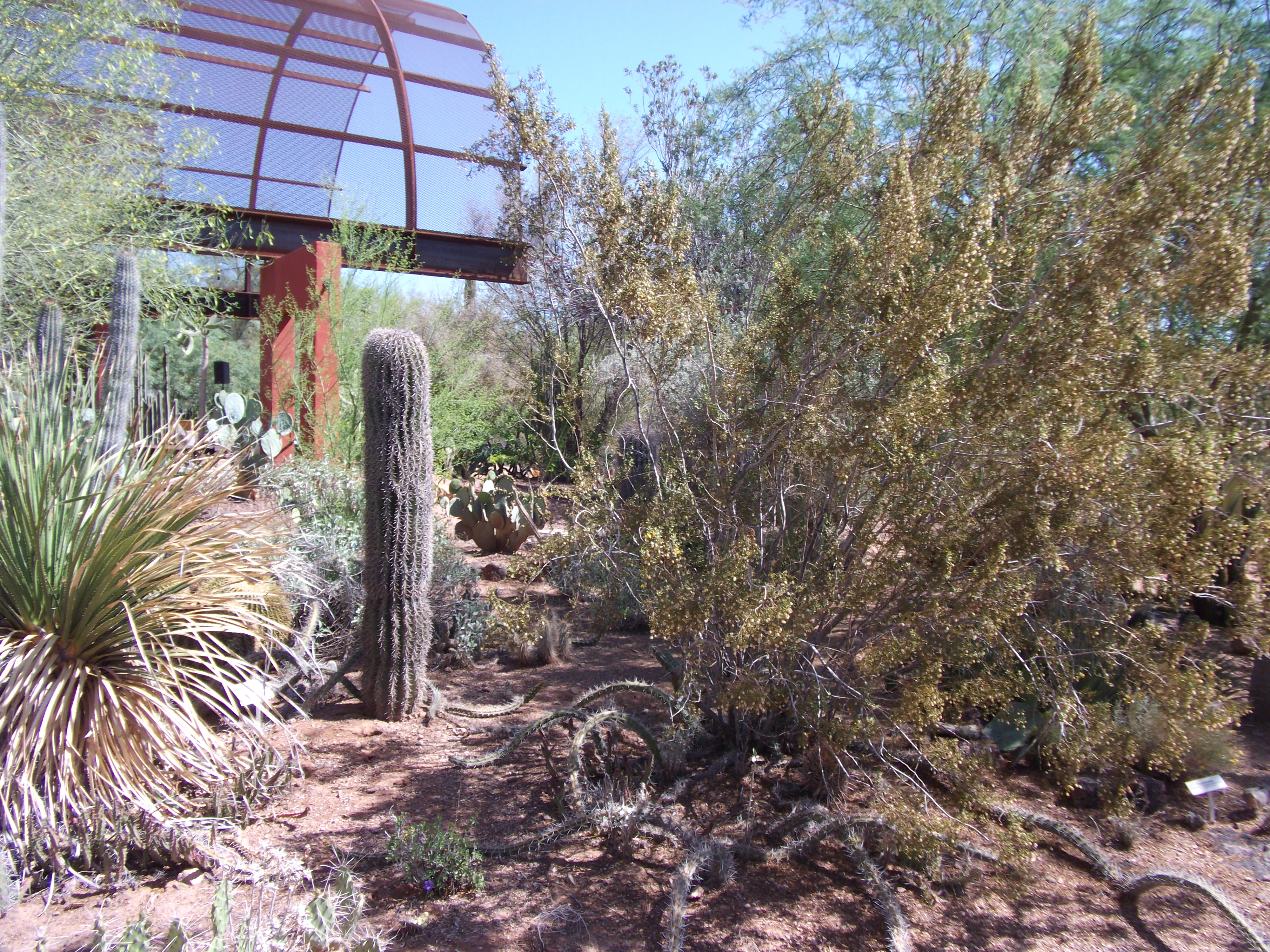 2012_04_28_botanical_sk_0051.jpg (large)