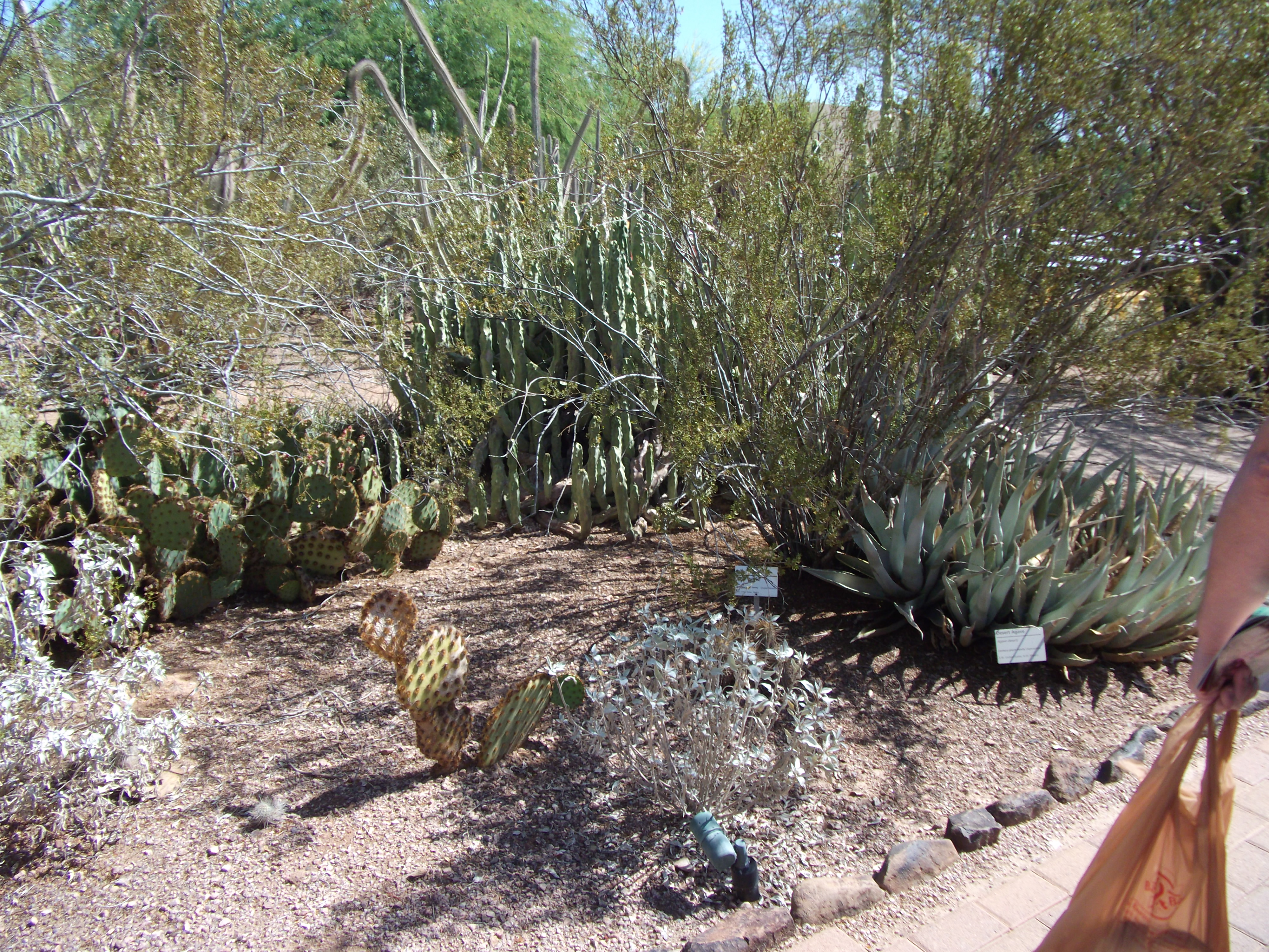 2012_04_28_phxa_003.jpg (large)