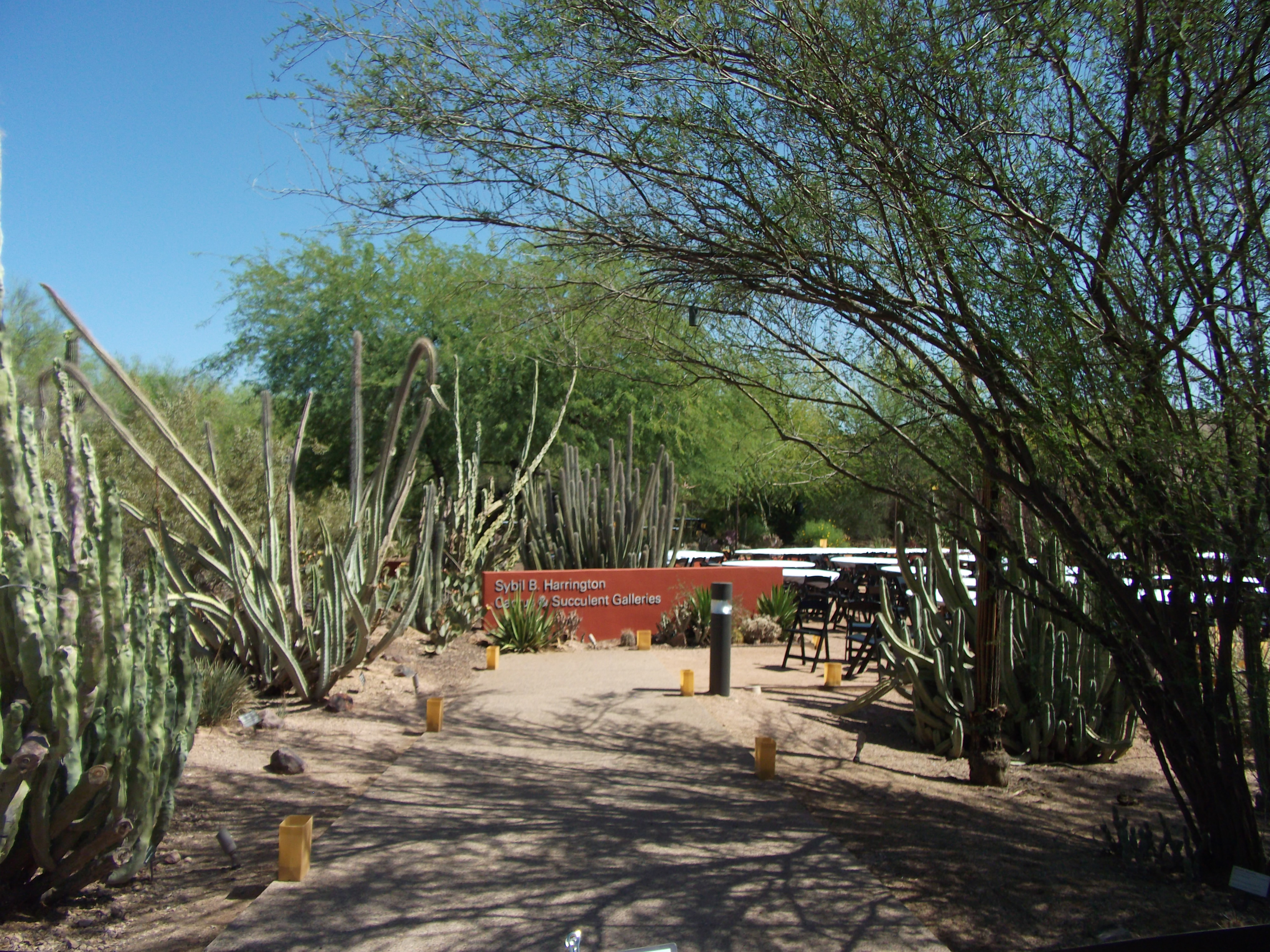 2012_04_28_phxa_004.jpg (large)