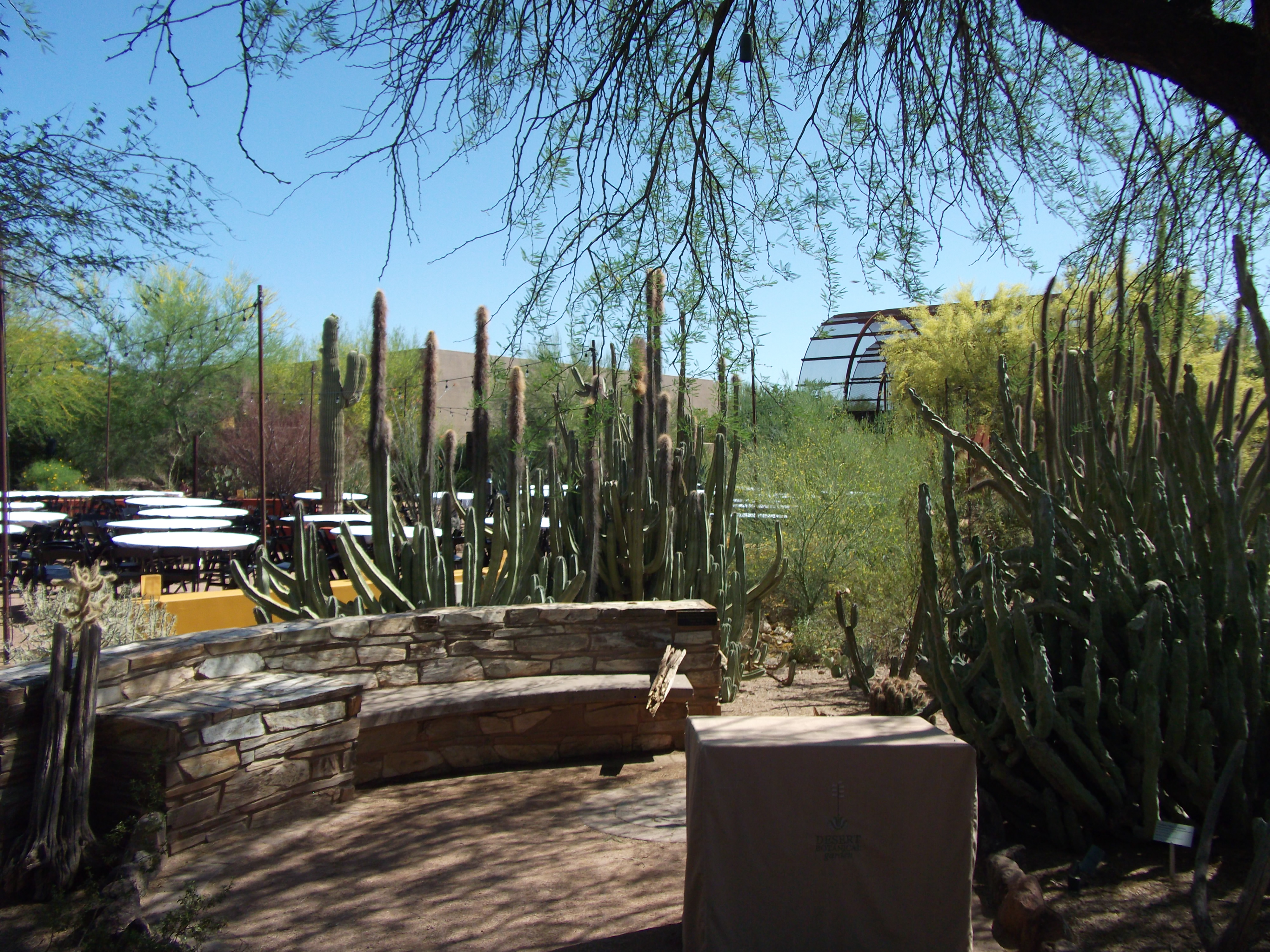 2012_04_28_phxa_007.jpg (large)