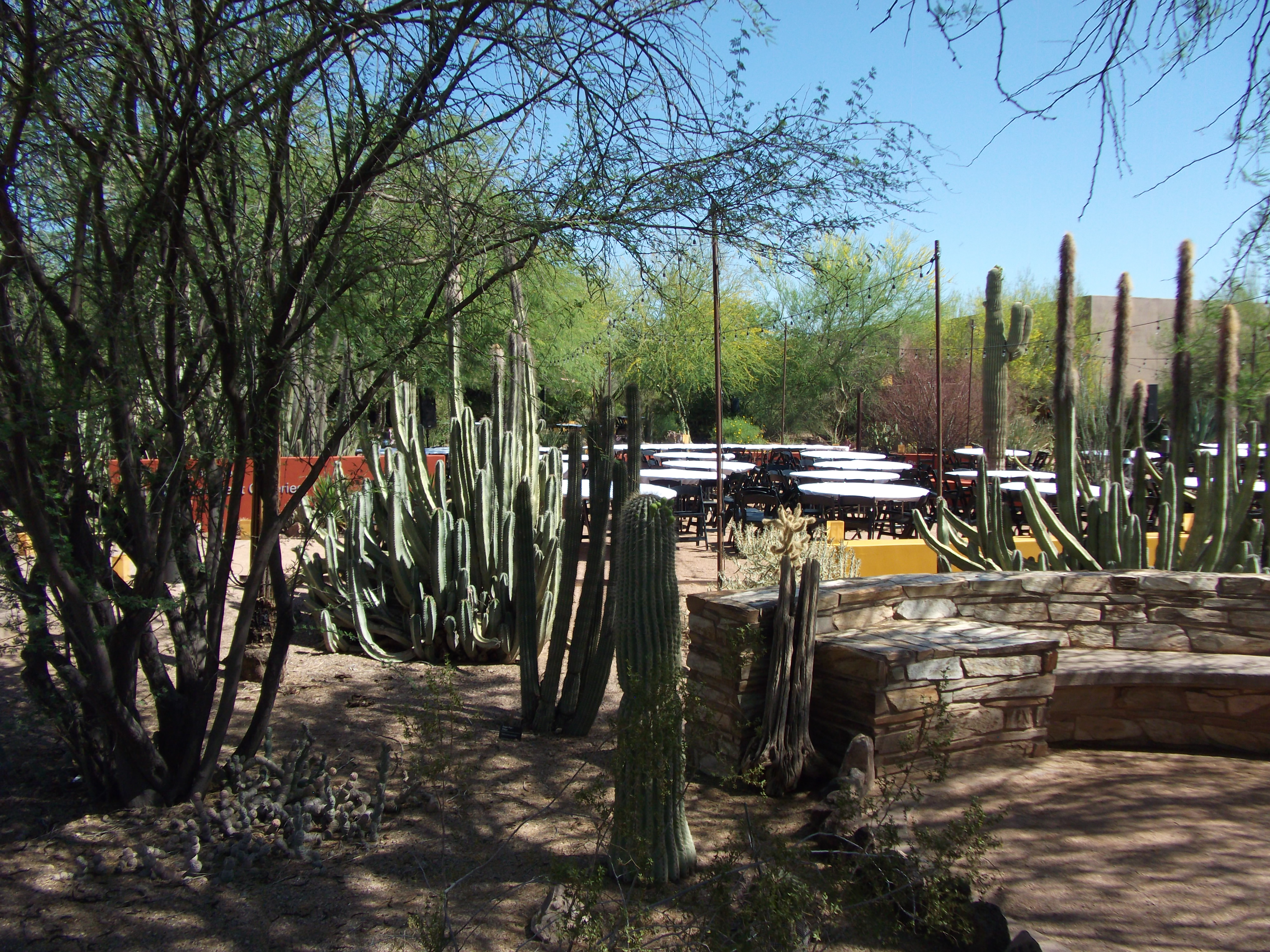 2012_04_28_phxa_008.jpg (large)