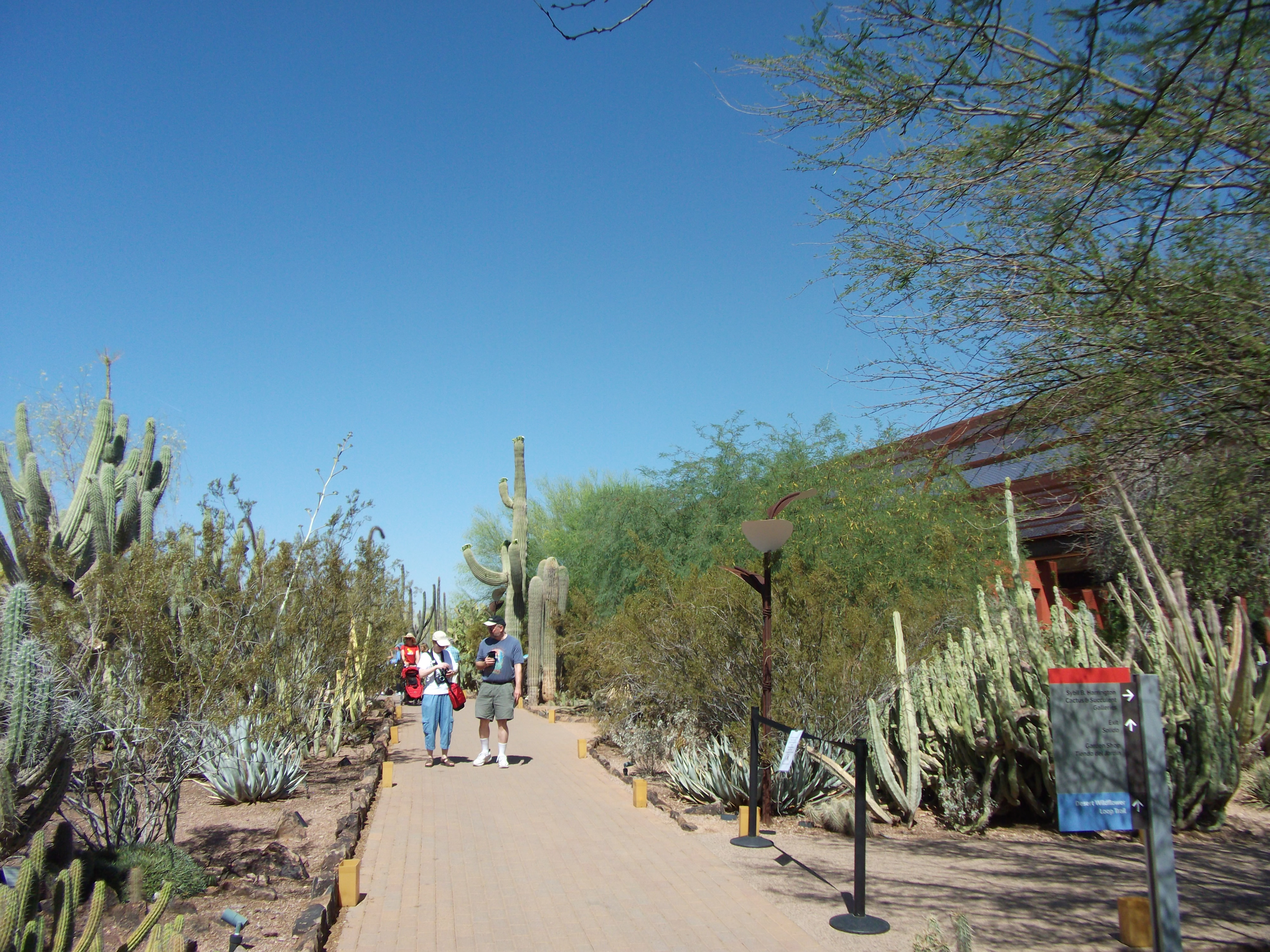 2012_04_28_phxa_009.jpg (large)