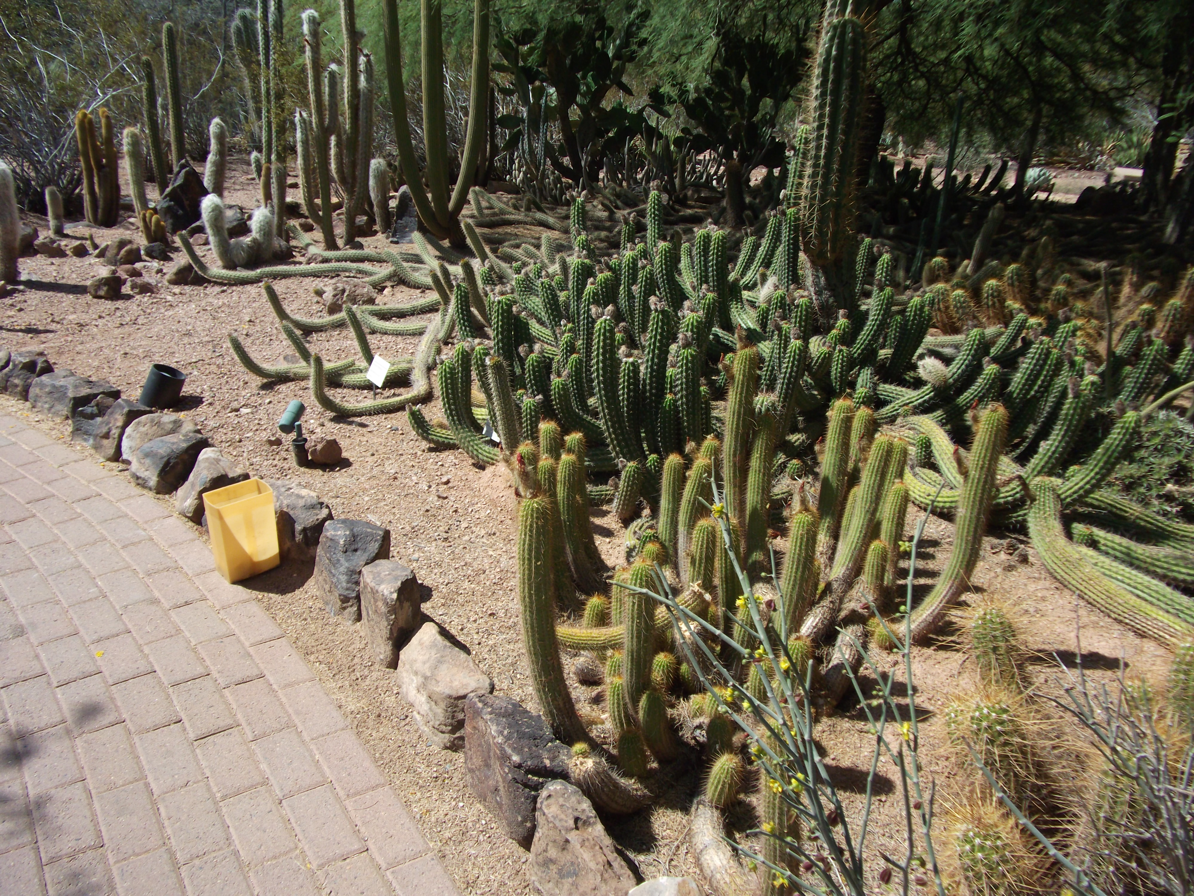 2012_04_28_phxa_011.jpg (large)