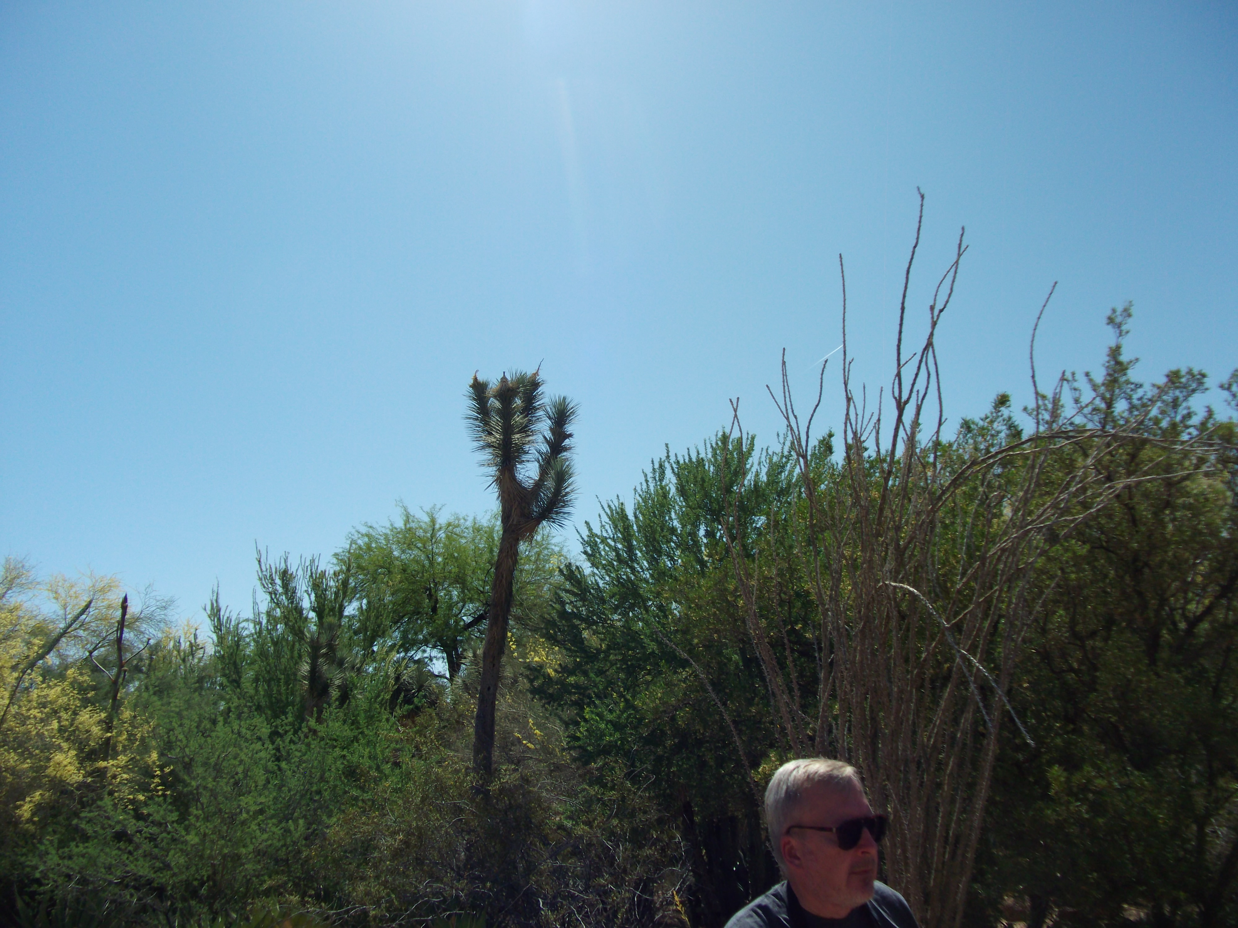 2012_04_28_phxa_022.jpg (large)