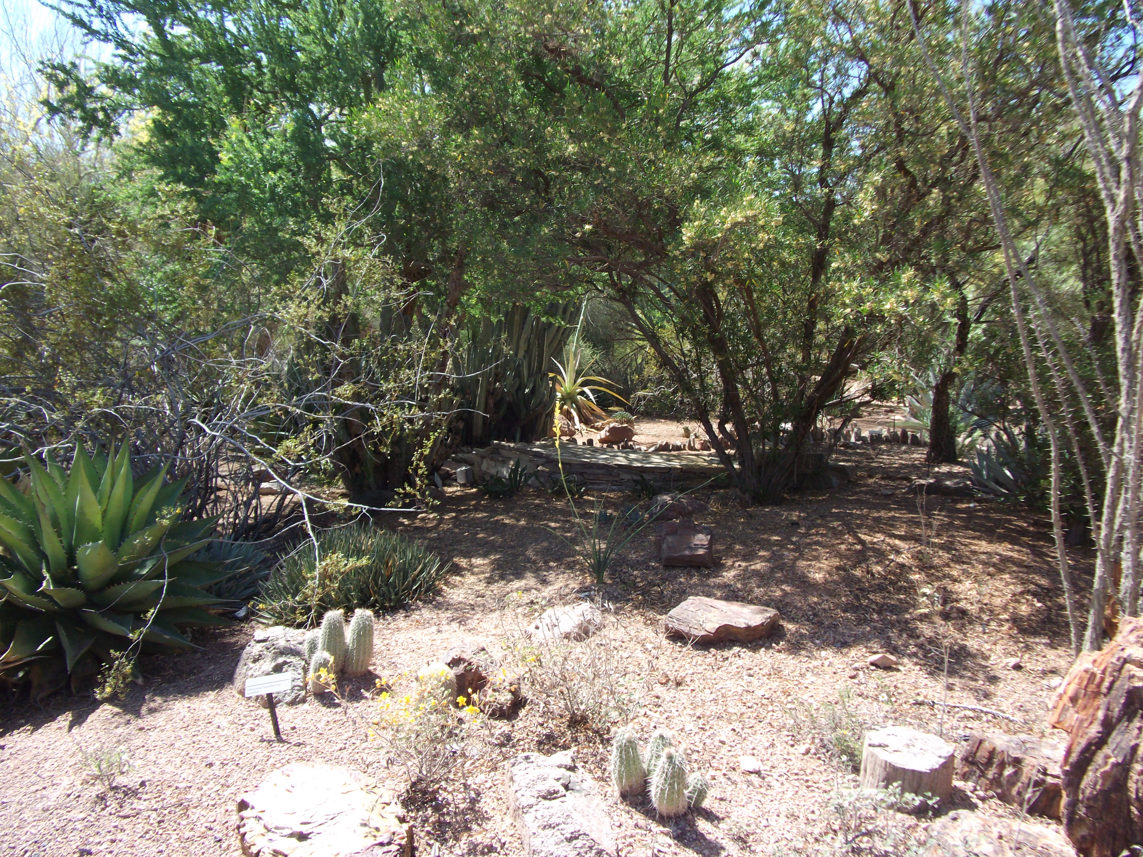 2012_04_28_phxa_025.jpg (large)