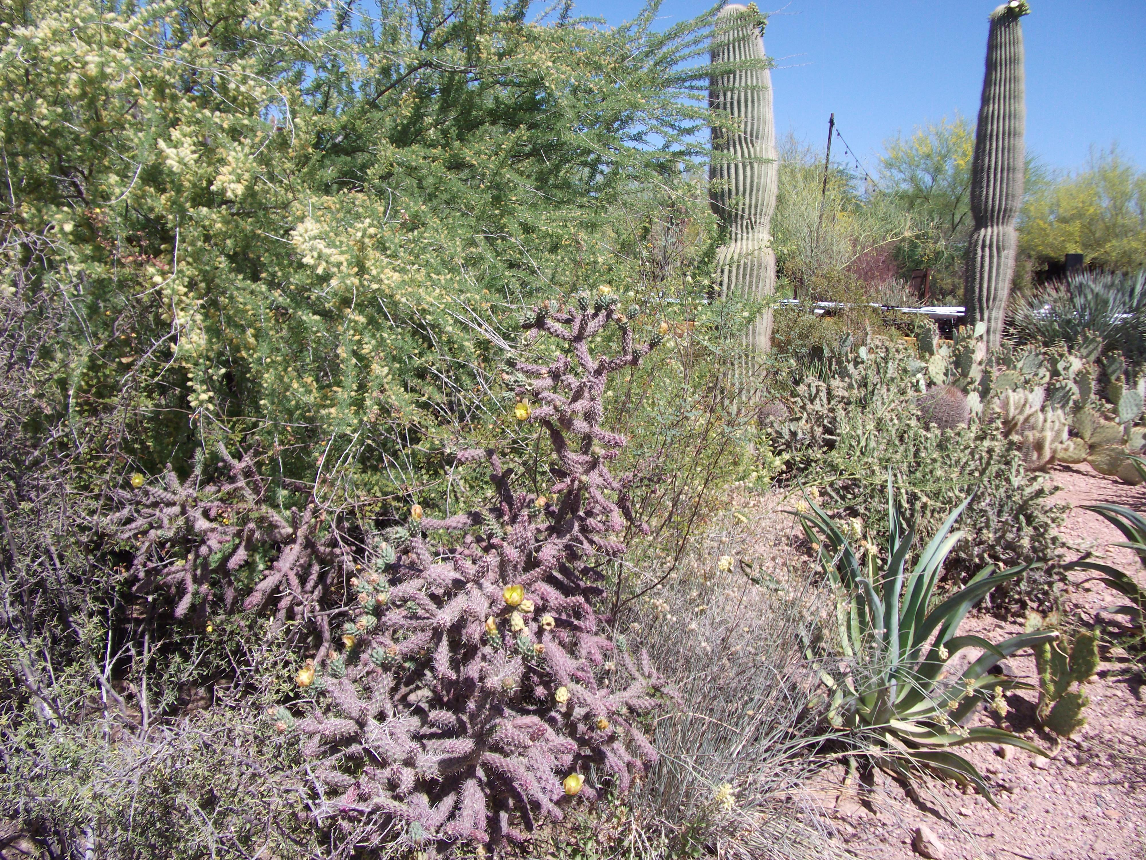 2012_04_28_phxa_030.jpg (large)