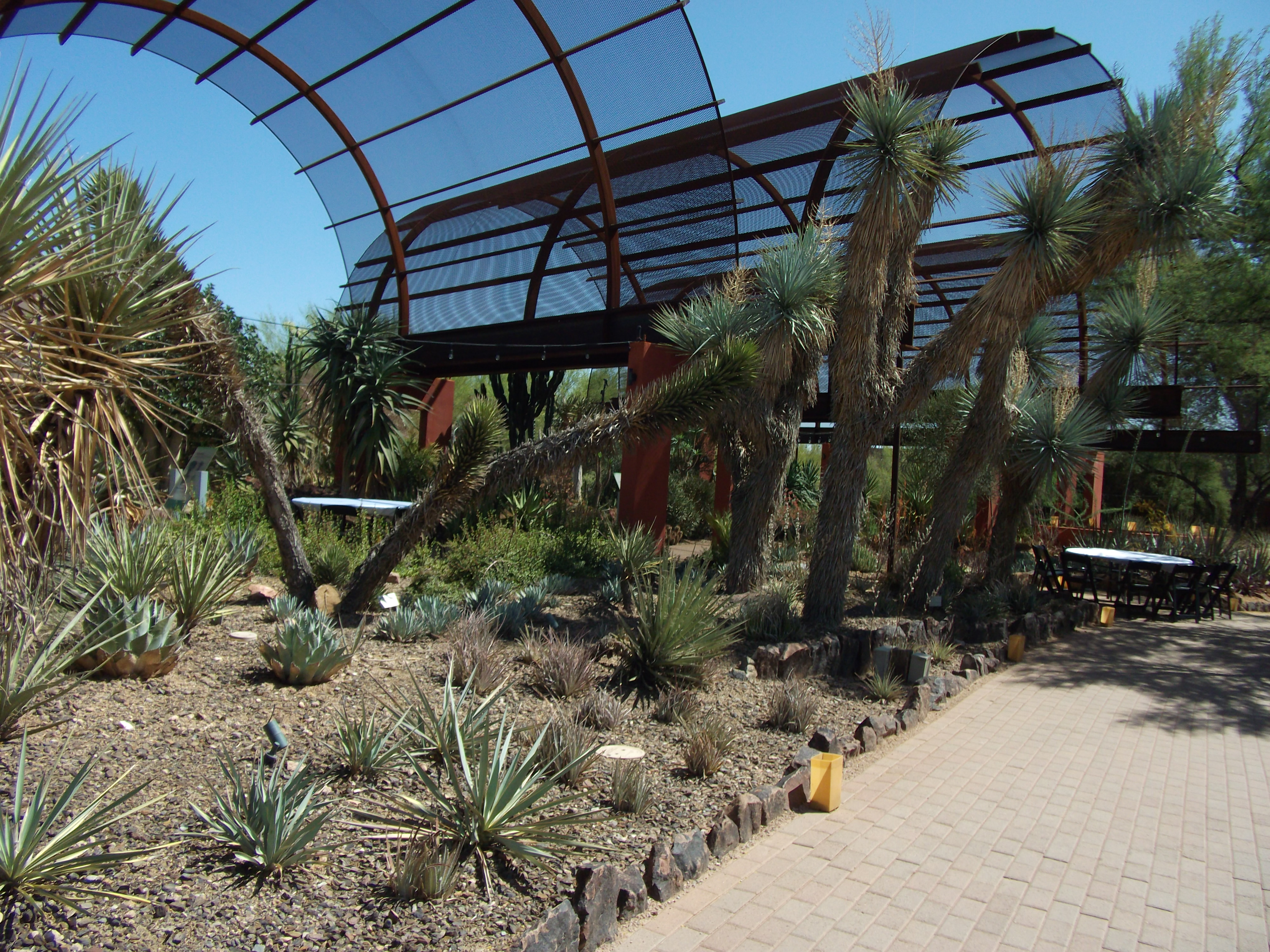 2012_04_28_phxa_033.jpg (large)