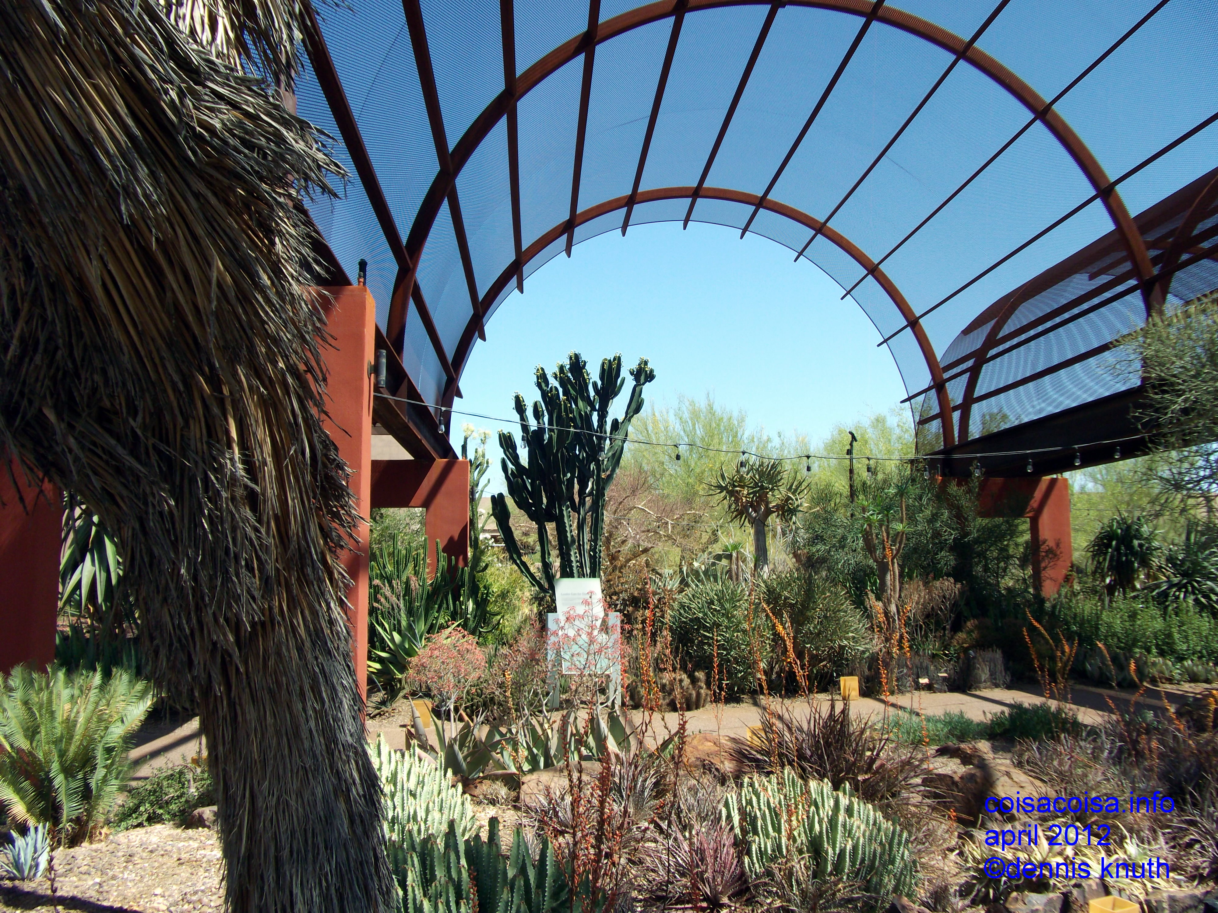 Mesh shade for cacti and dinner guests