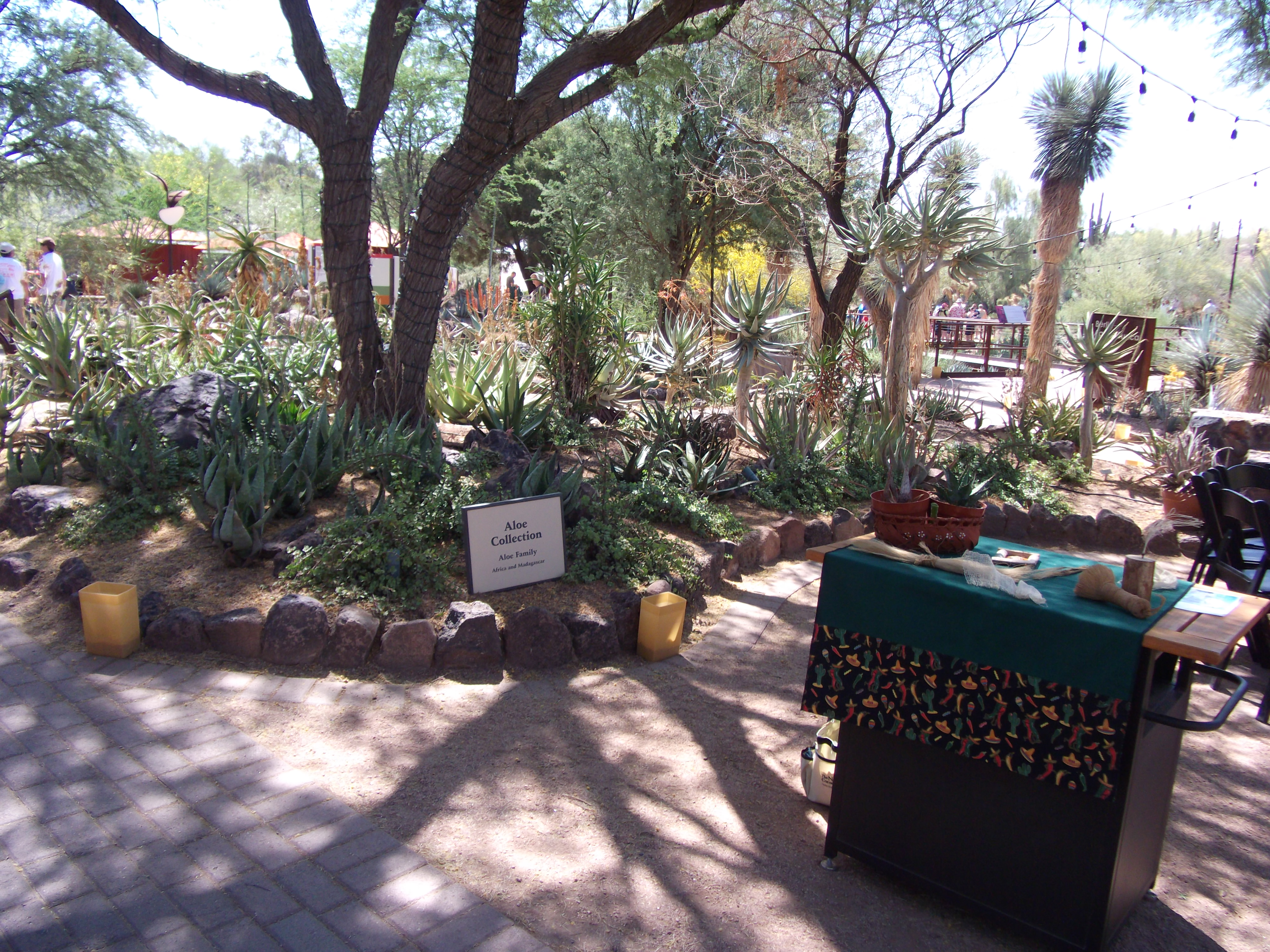 2012_04_28_phxa_037.jpg (large)