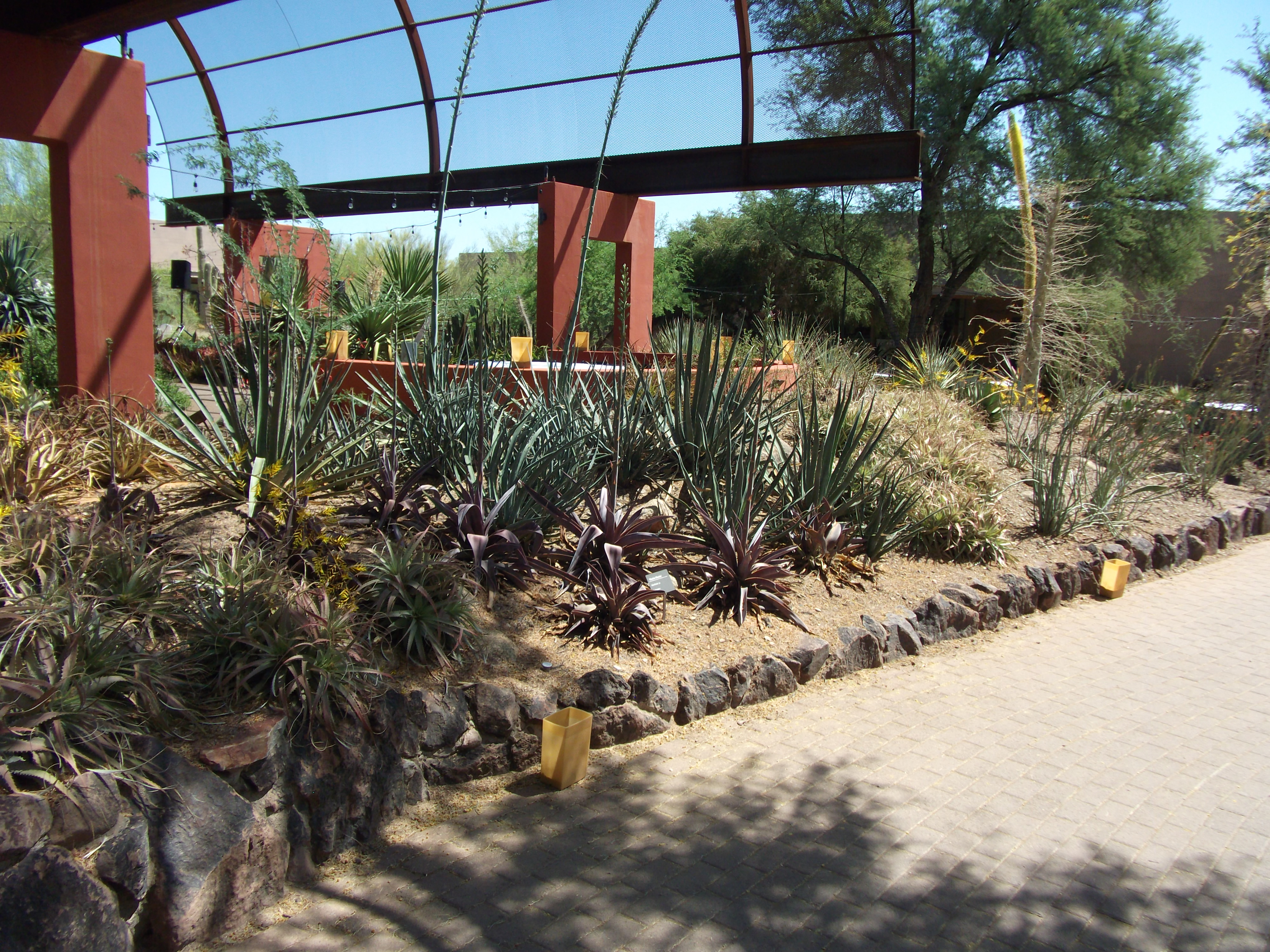 2012_04_28_phxa_038.jpg (large)