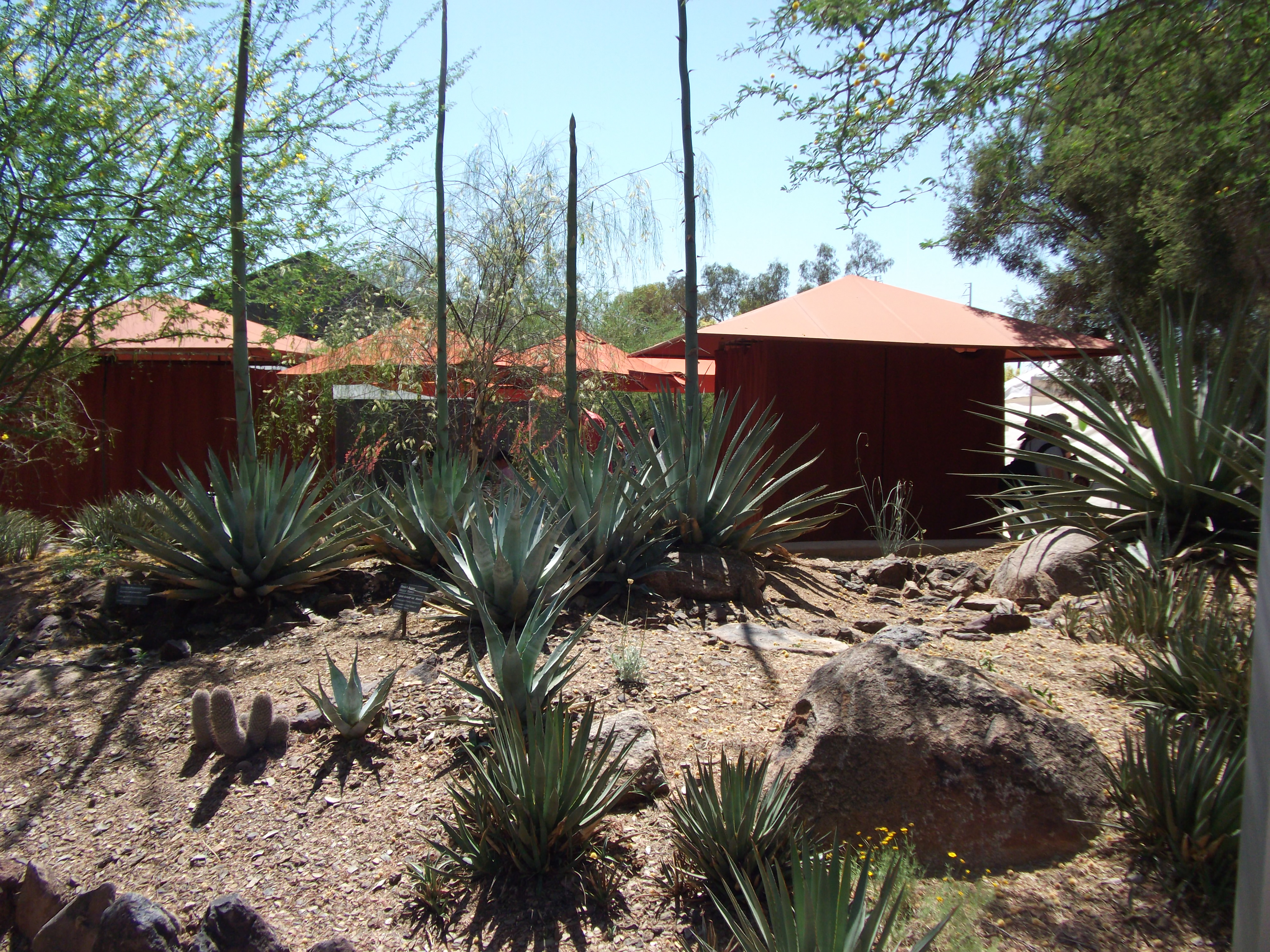 2012_04_28_phxa_039.jpg (large)