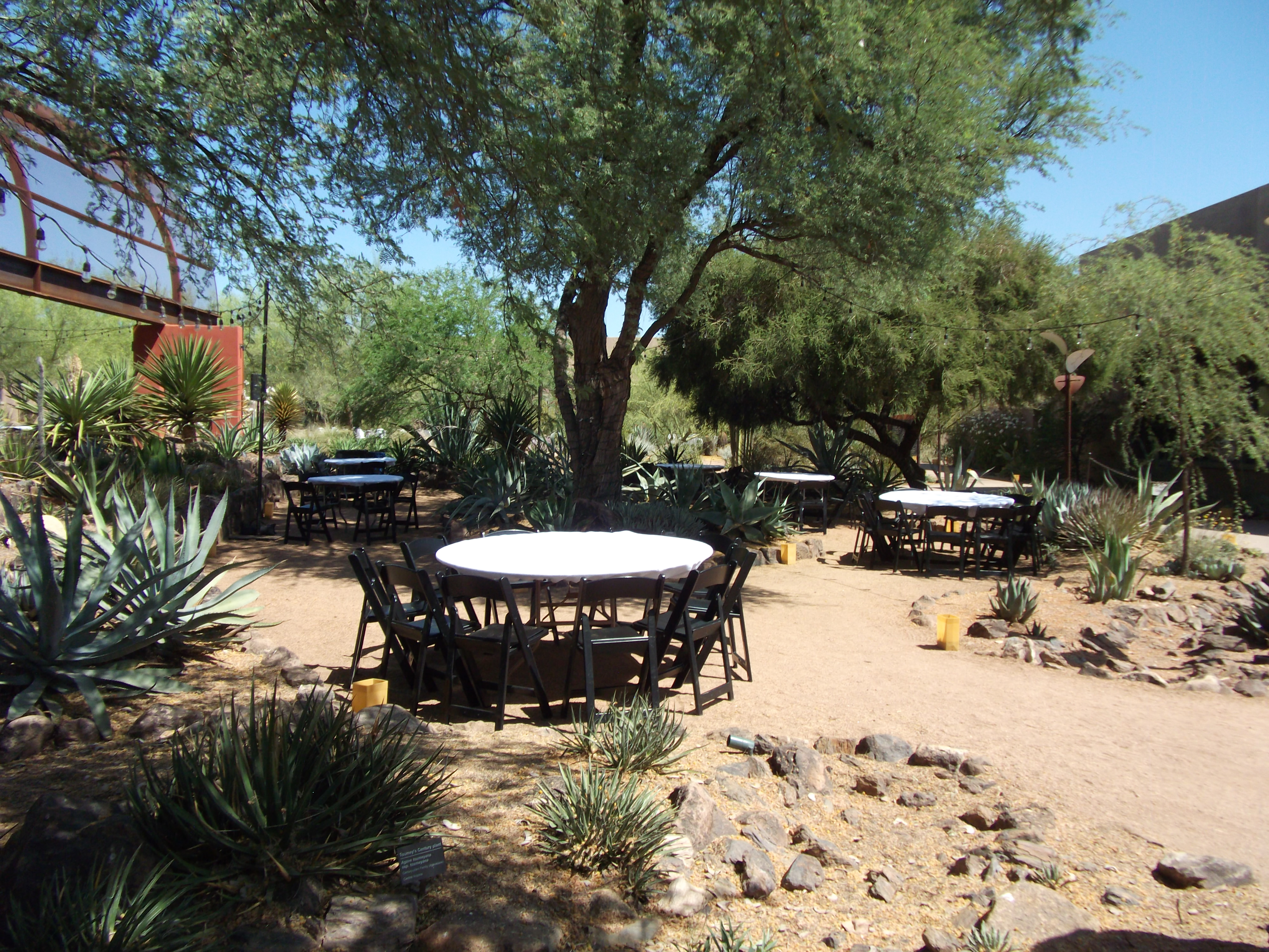 2012_04_28_phxa_040.jpg (large)