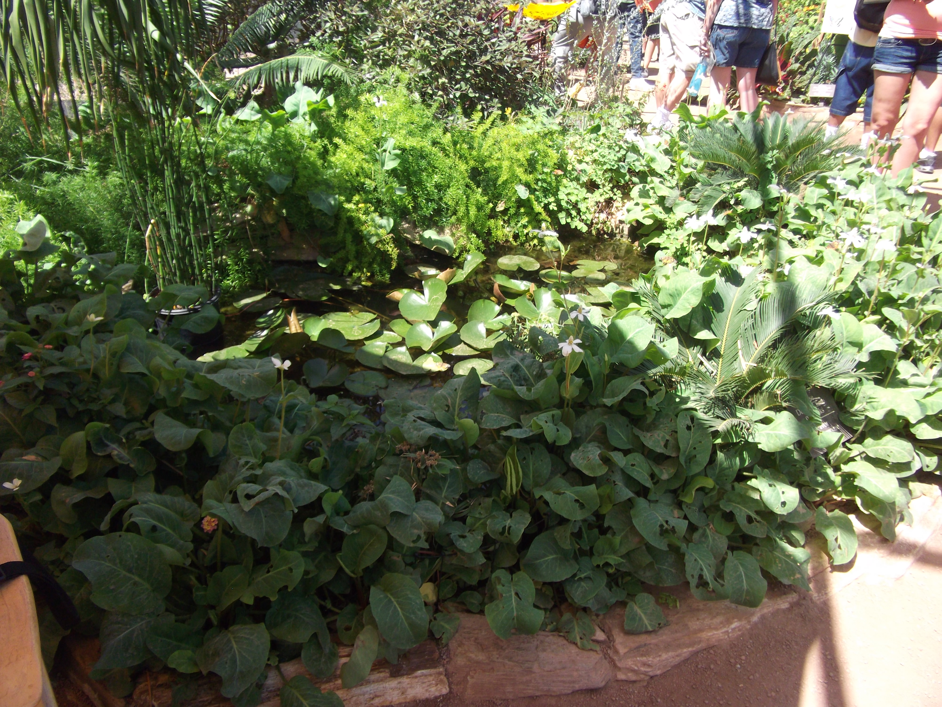 2012_04_28_phxa_045.jpg (large)