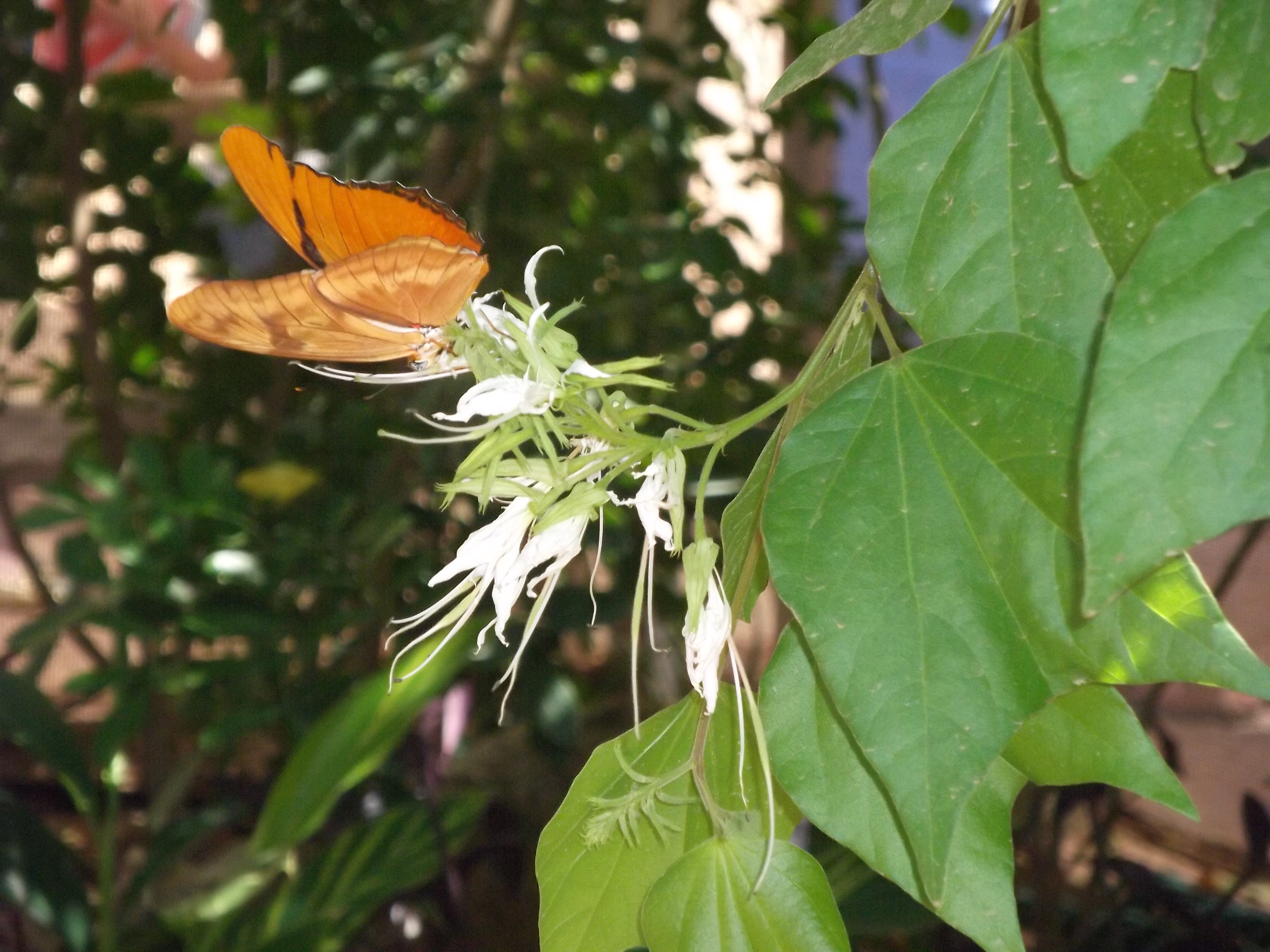 2012_04_28_phxa_046.jpg (large)