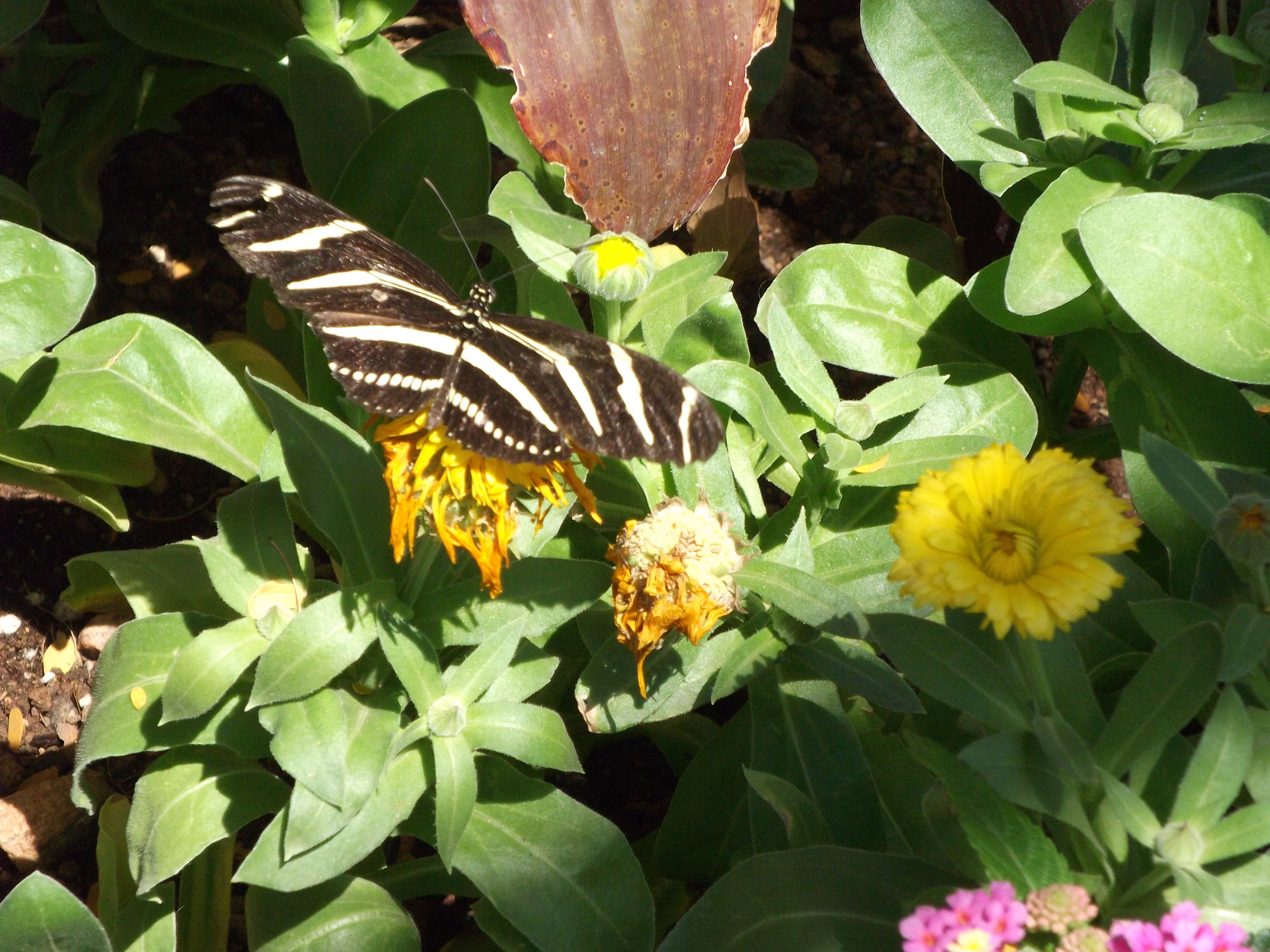 2012_04_28_phxa_047.jpg (large)