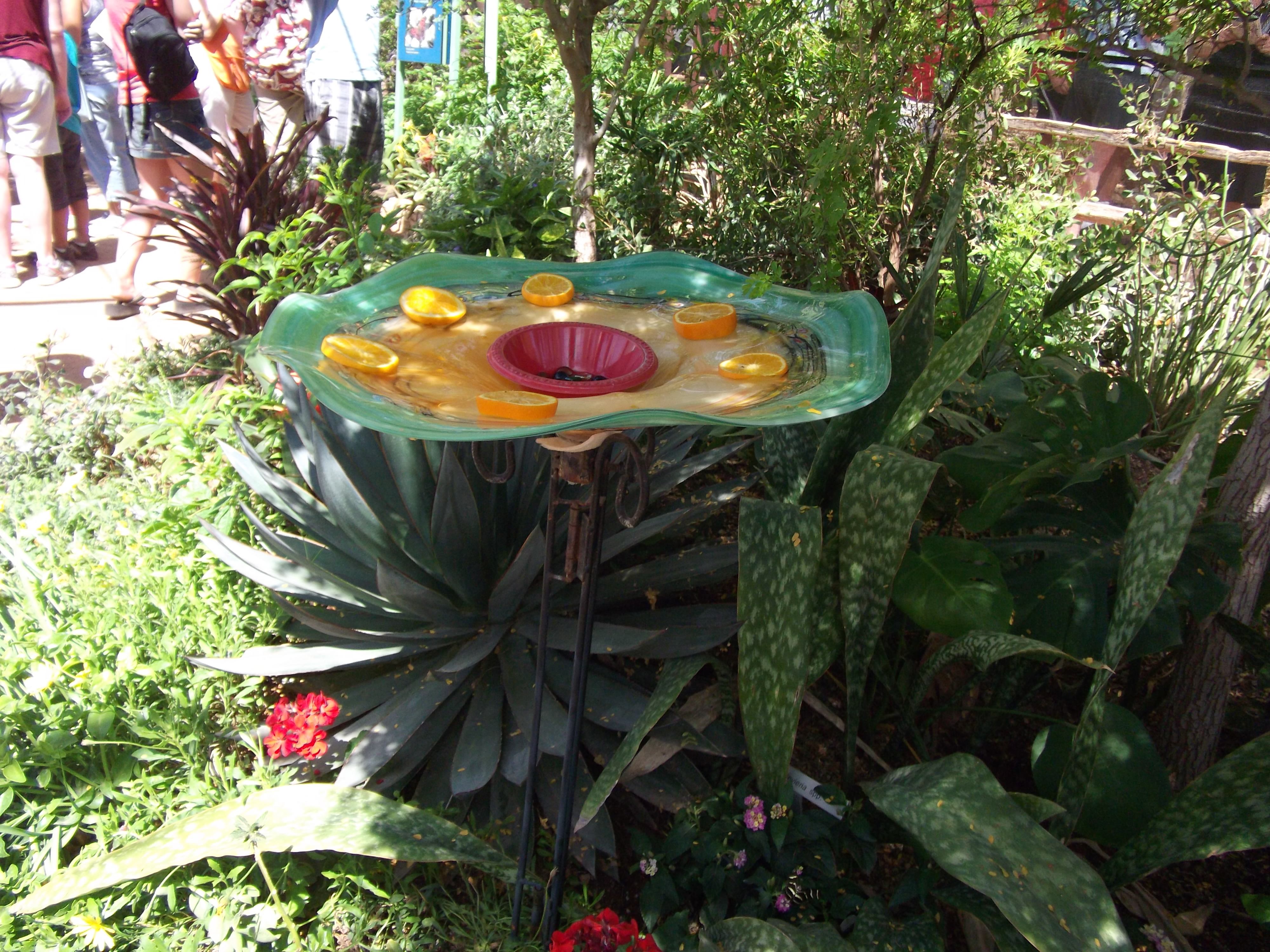 2012_04_28_phxa_050.jpg (large)