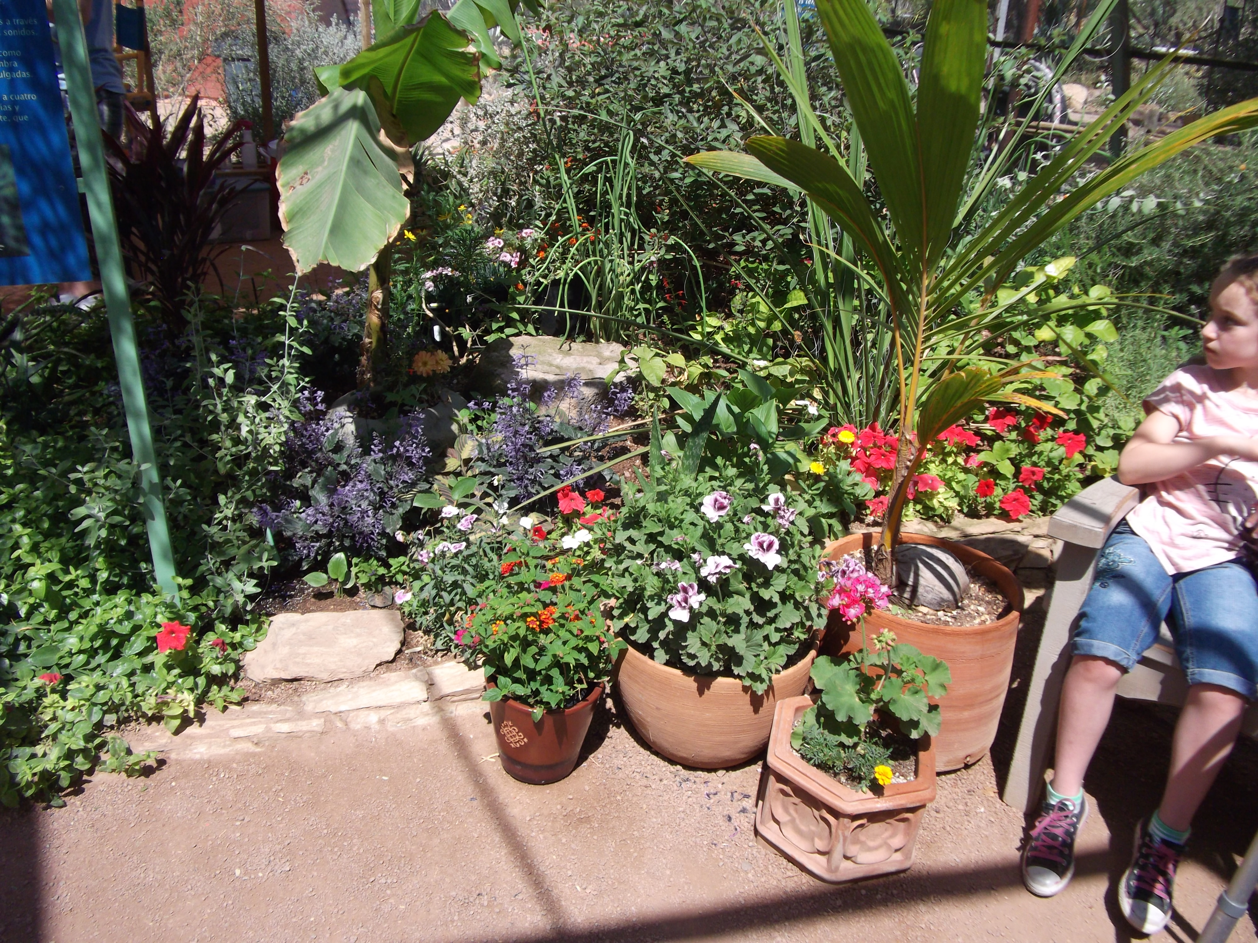 2012_04_28_phxa_053.jpg (large)