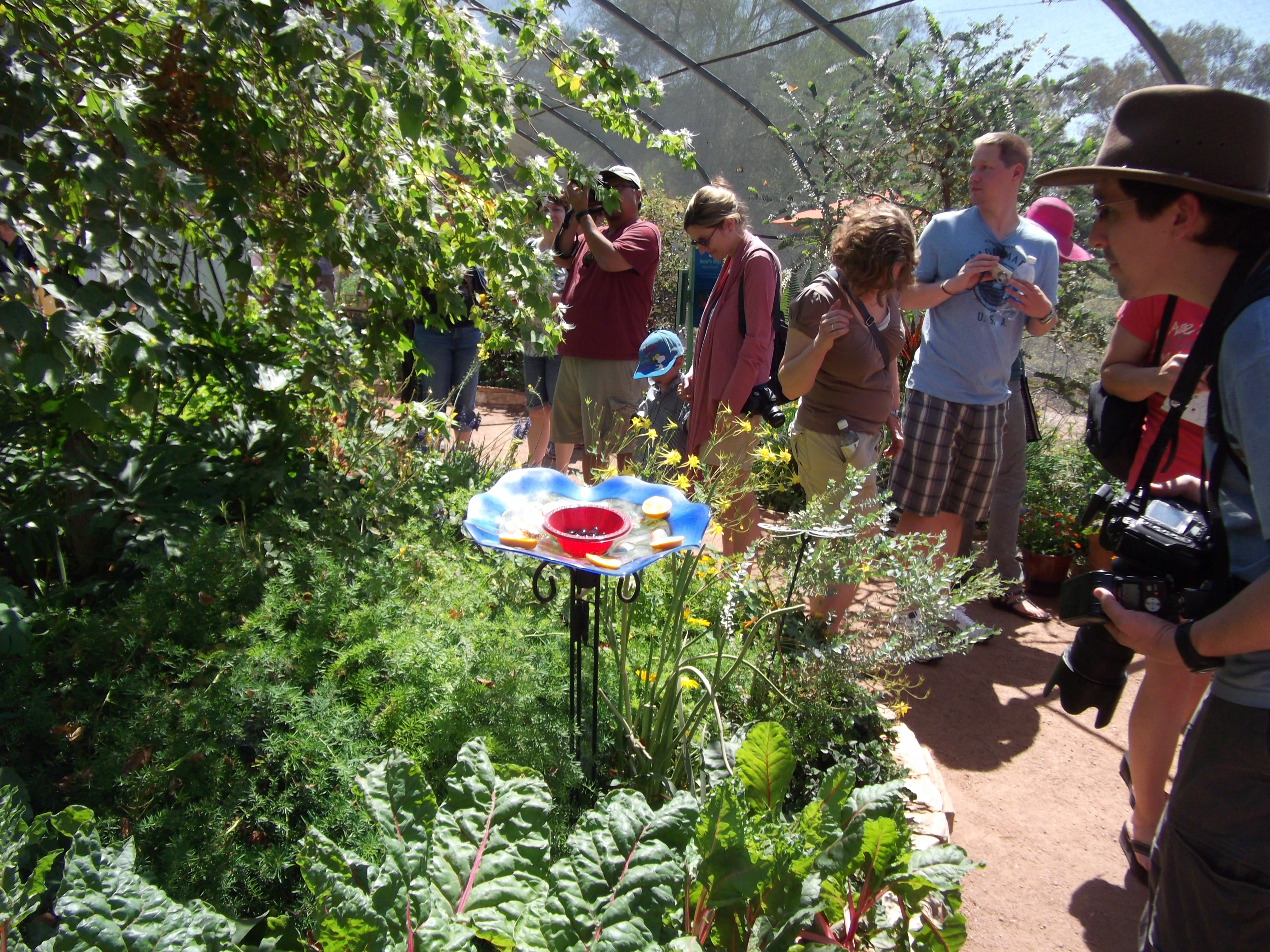 2012_04_28_phxa_056.jpg (large)