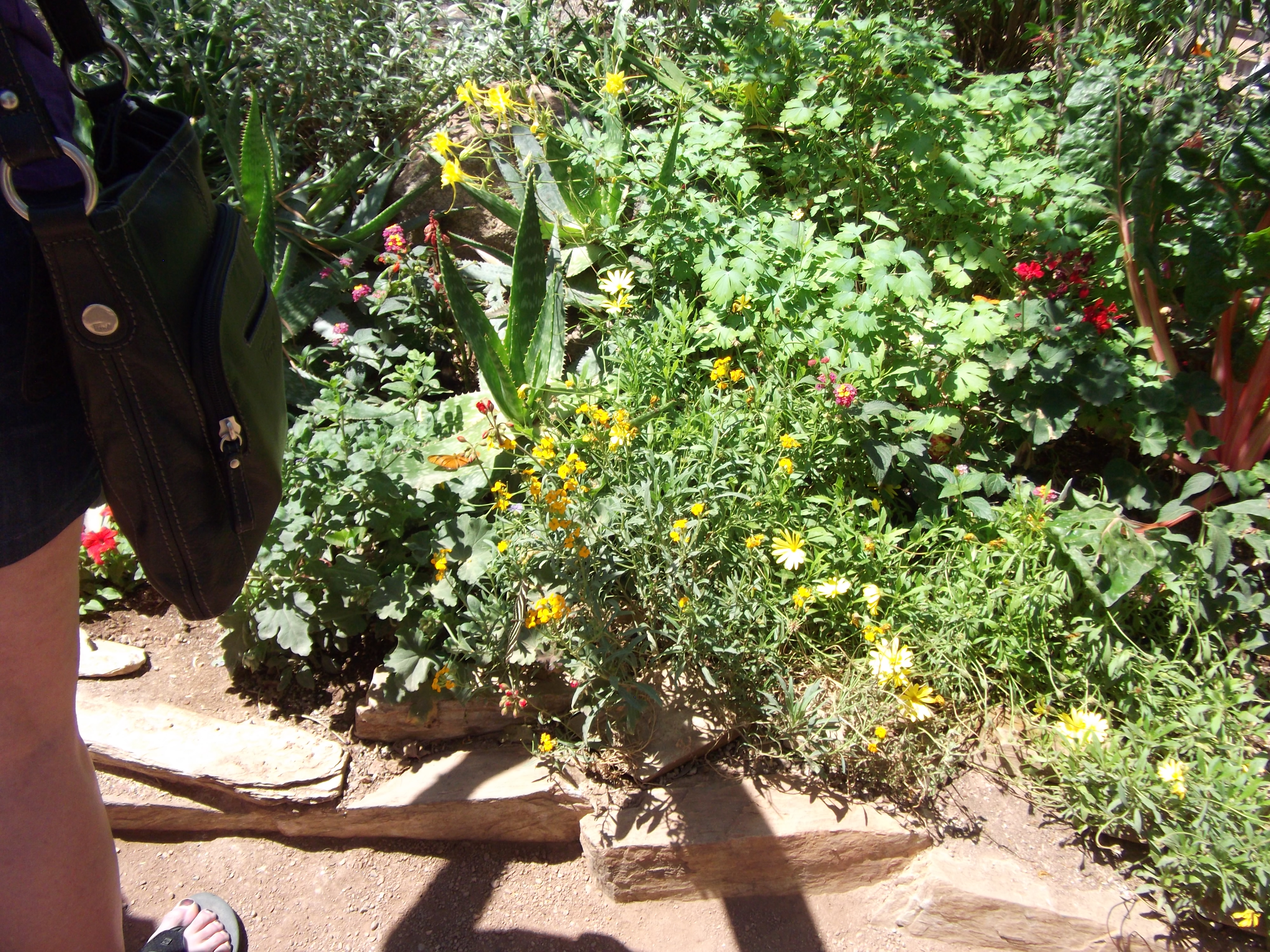 2012_04_28_phxa_057.jpg (large)