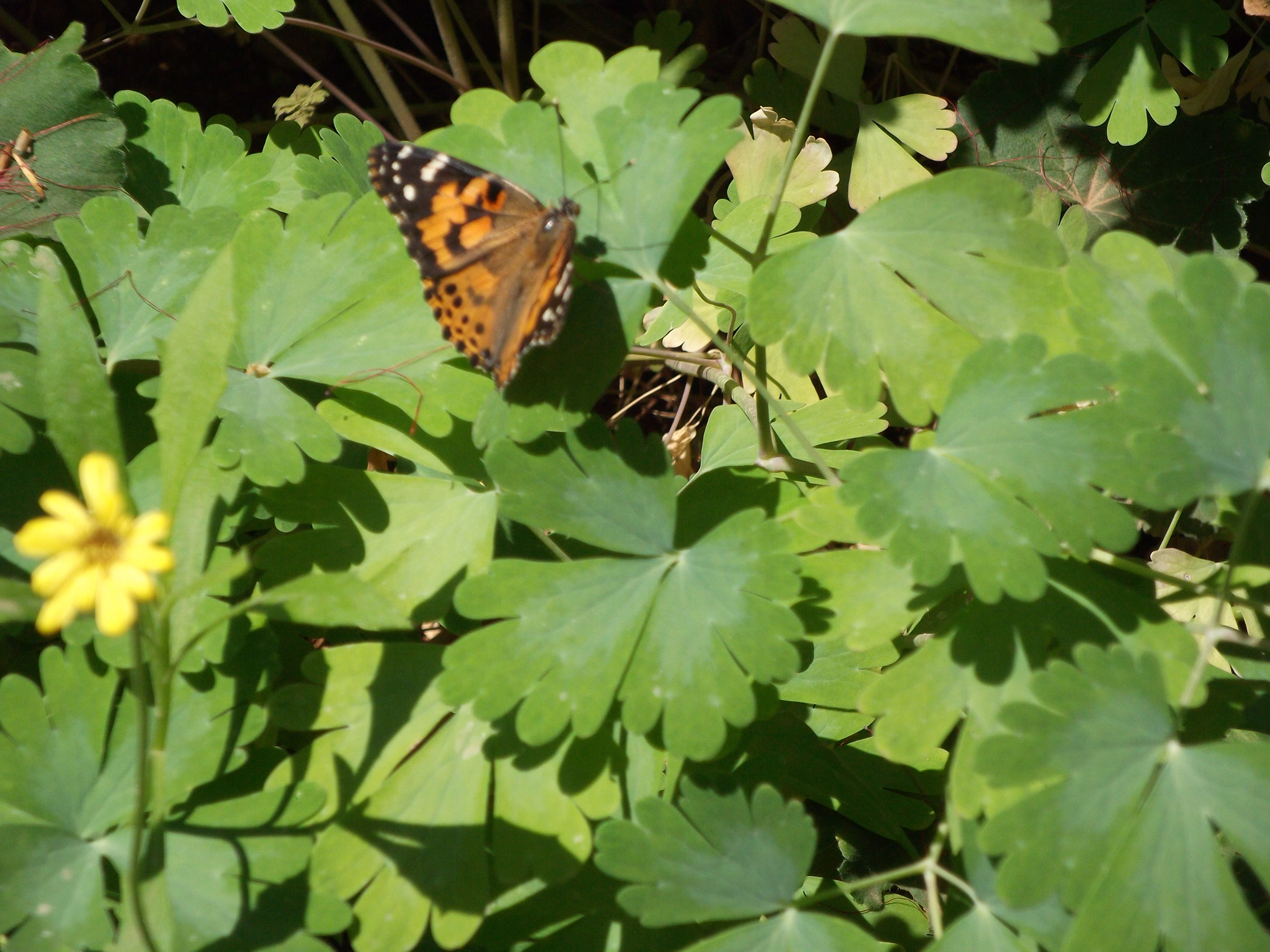 2012_04_28_phxa_059.jpg (large)