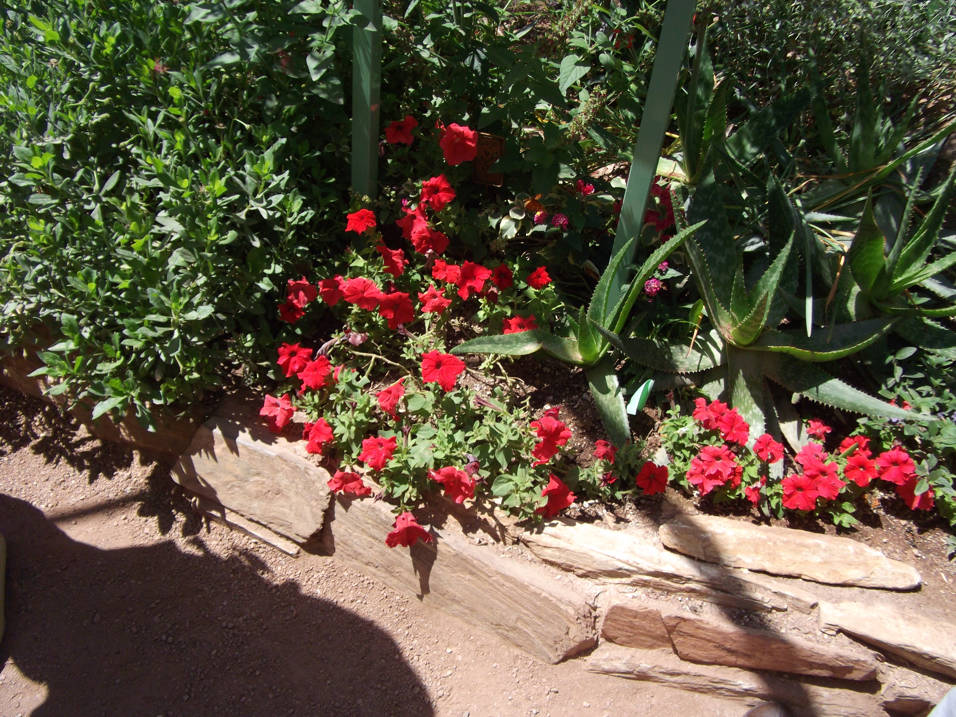 2012_04_28_phxa_060.jpg (large)