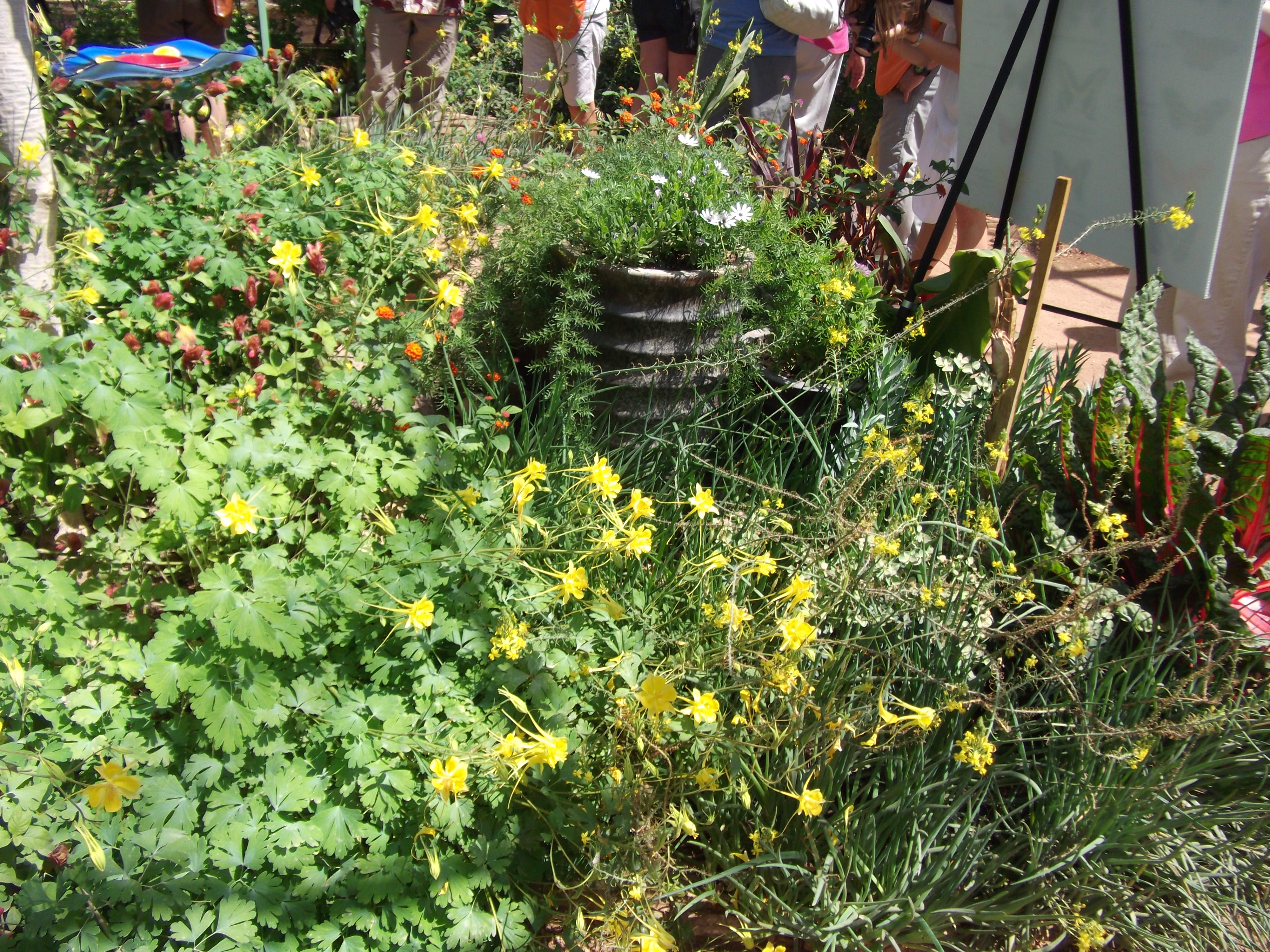 2012_04_28_phxa_065.jpg (large)