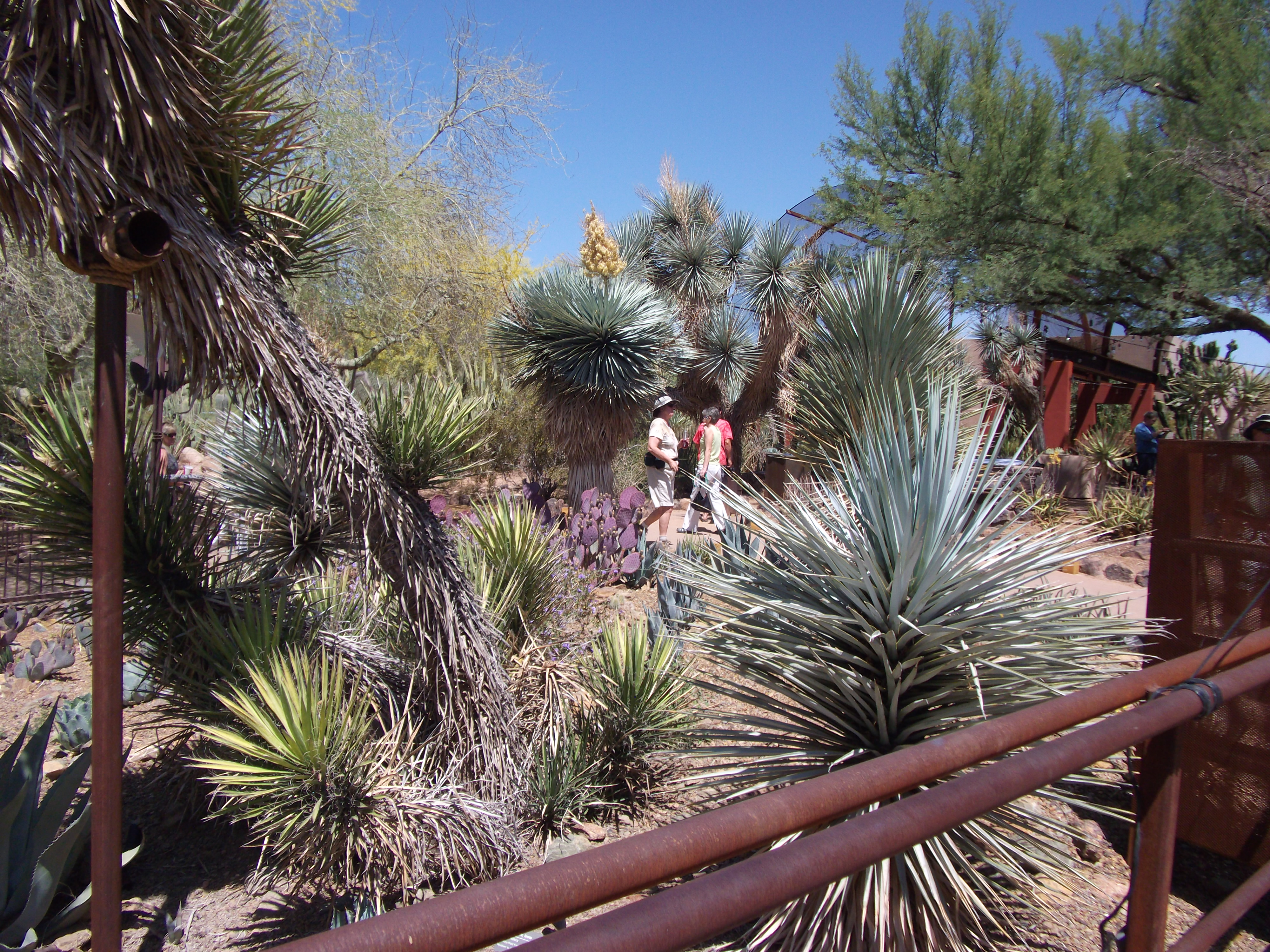 2012_04_28_phxa_076.jpg (large)