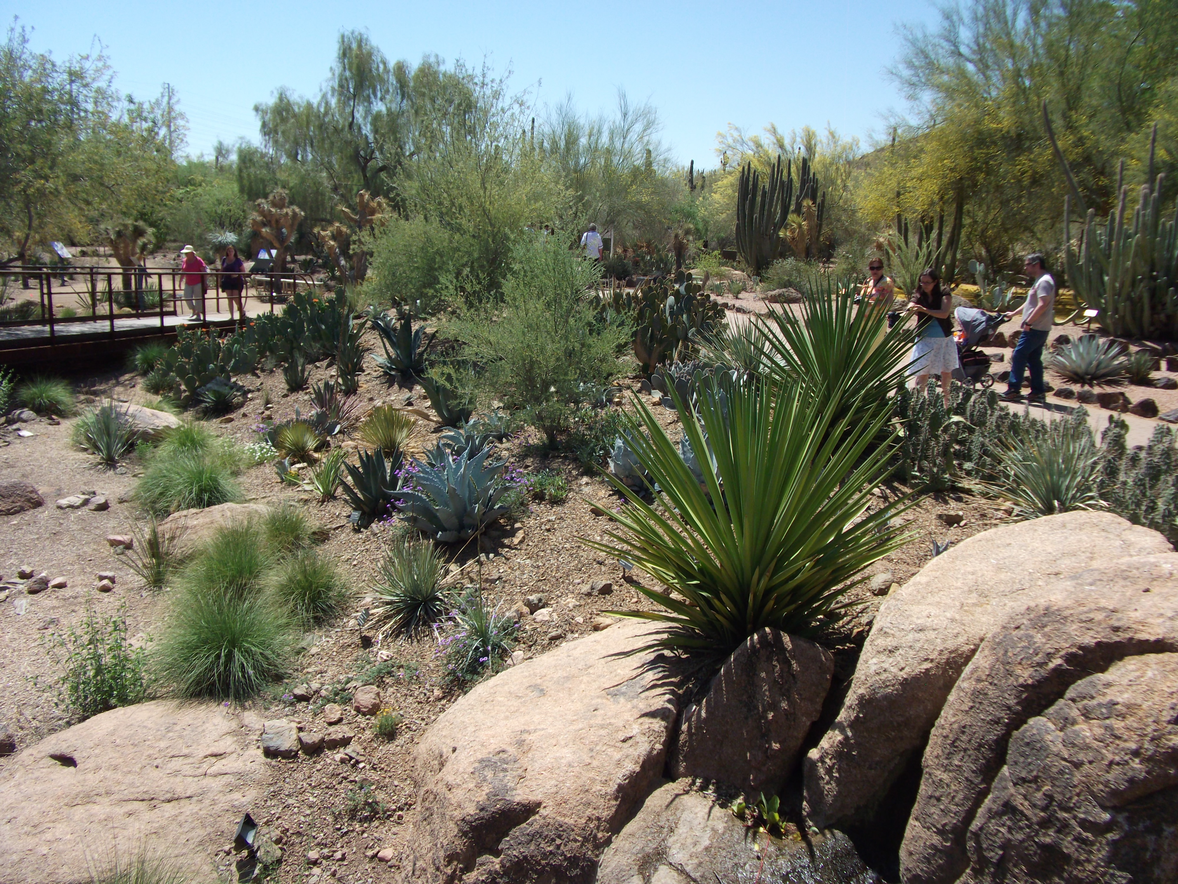 2012_04_28_phxa_077.jpg (large)