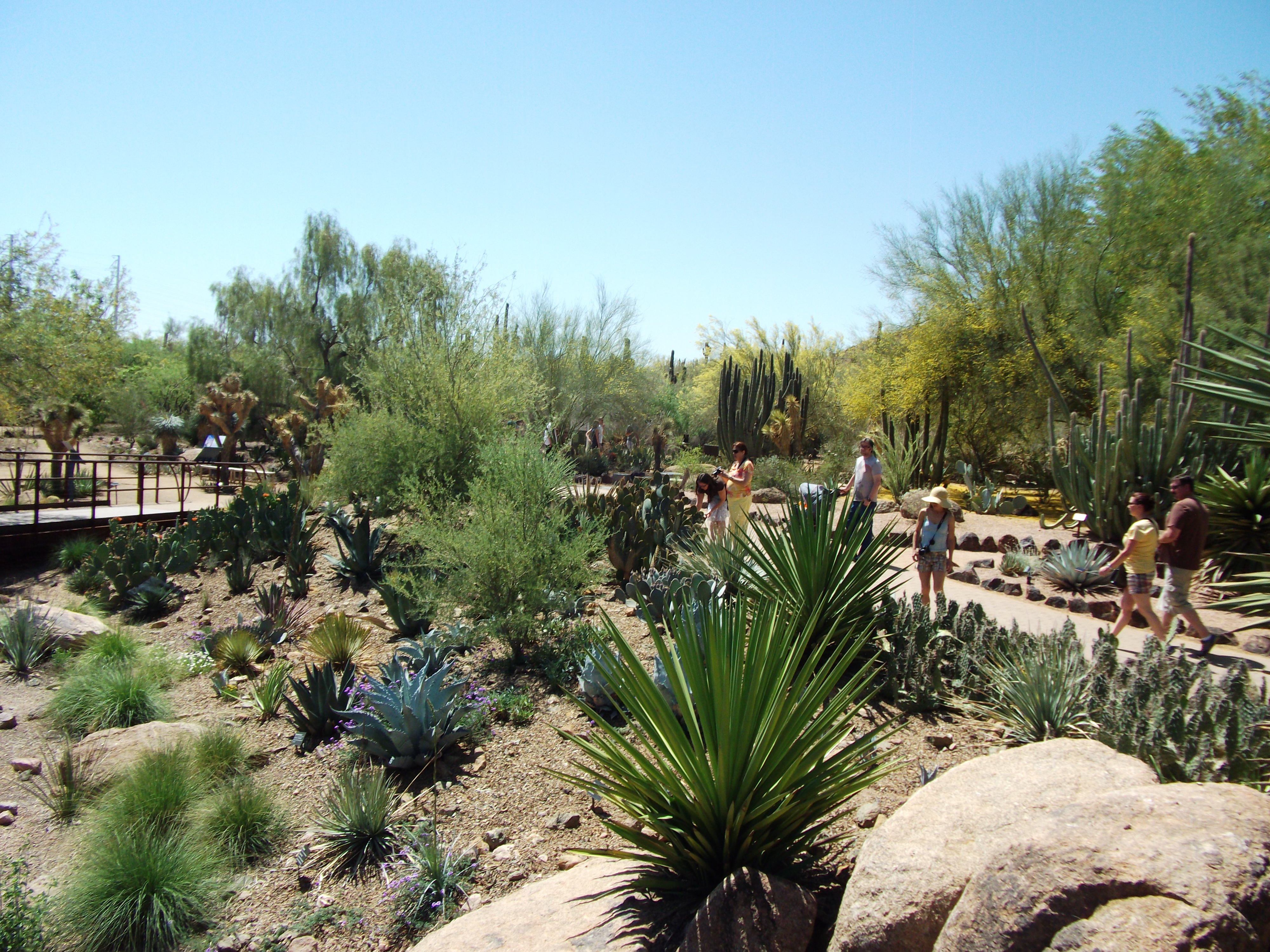 2012_04_28_phxa_078.jpg (large)