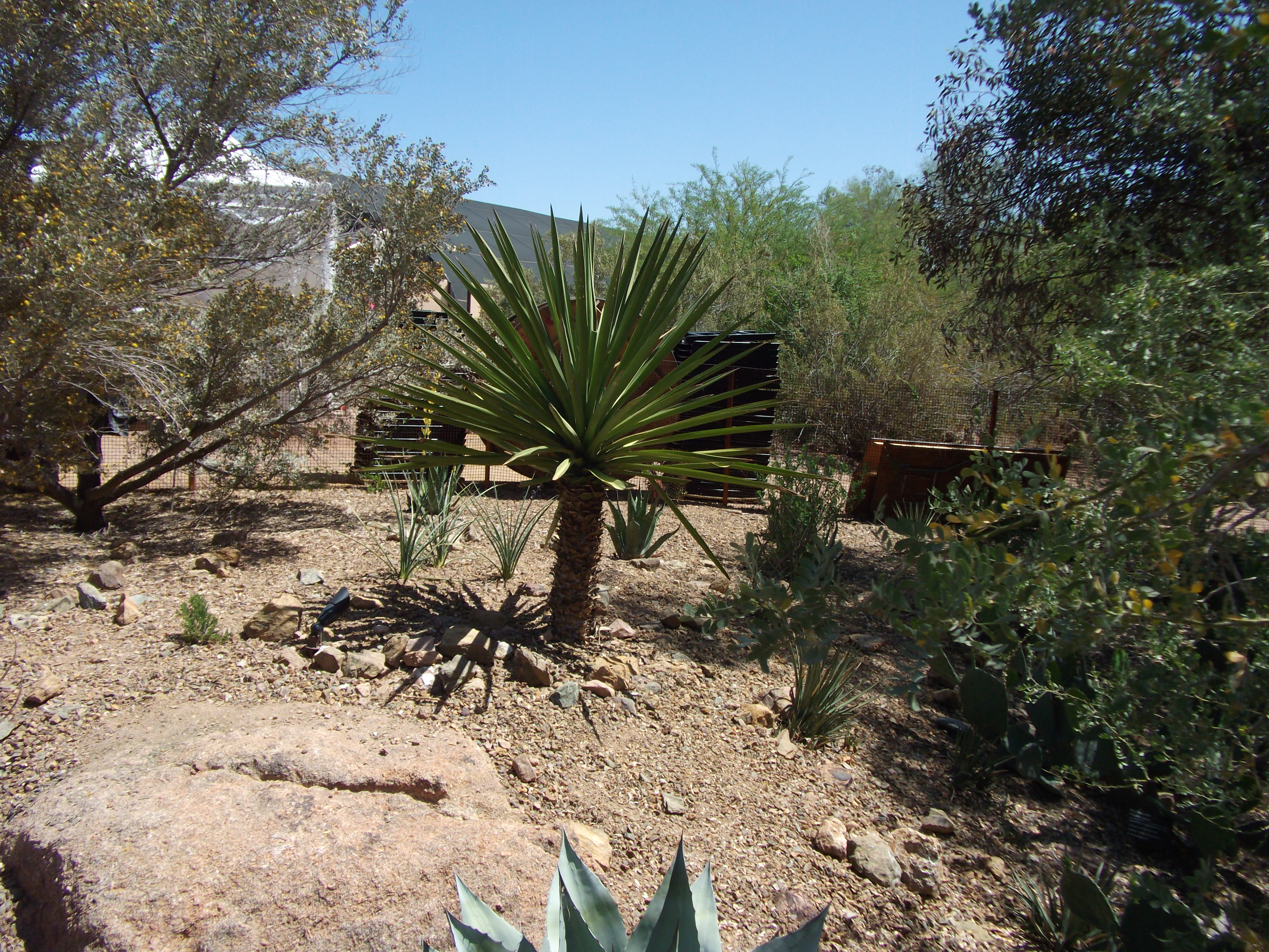 2012_04_28_phxa_082.jpg (large)