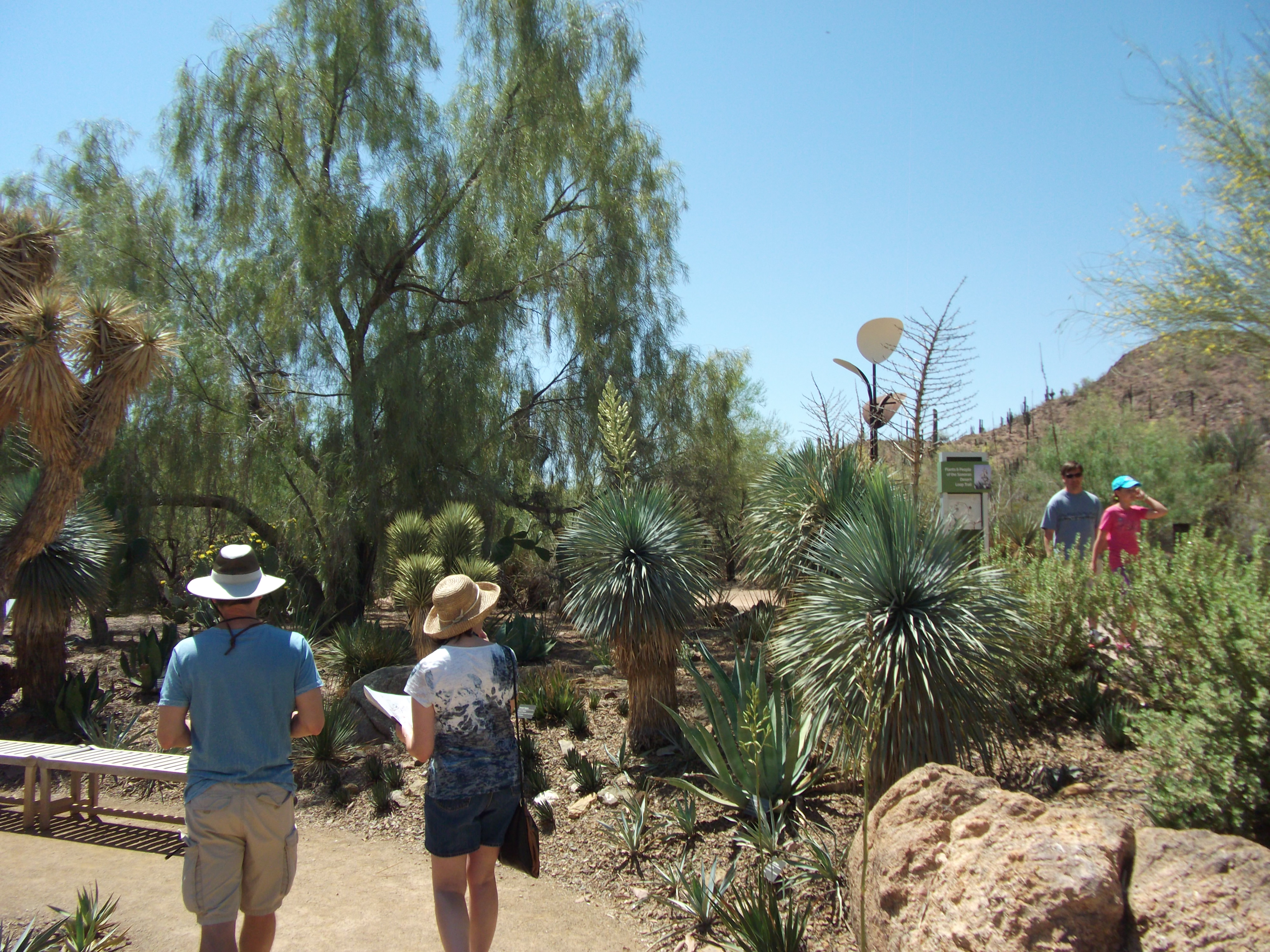 2012_04_28_phxa_083.jpg (large)