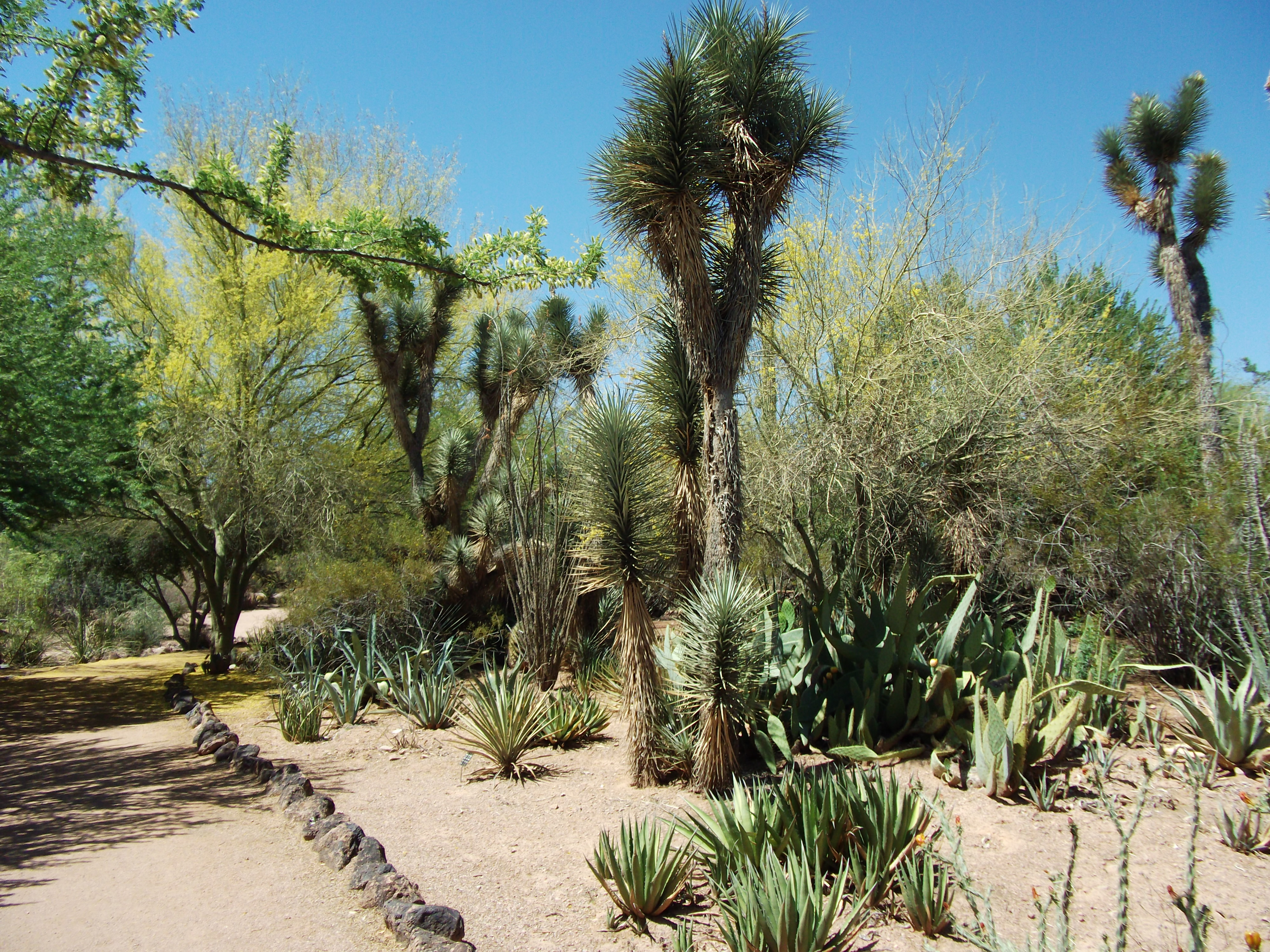 2012_04_28_phxa_088.jpg (large)