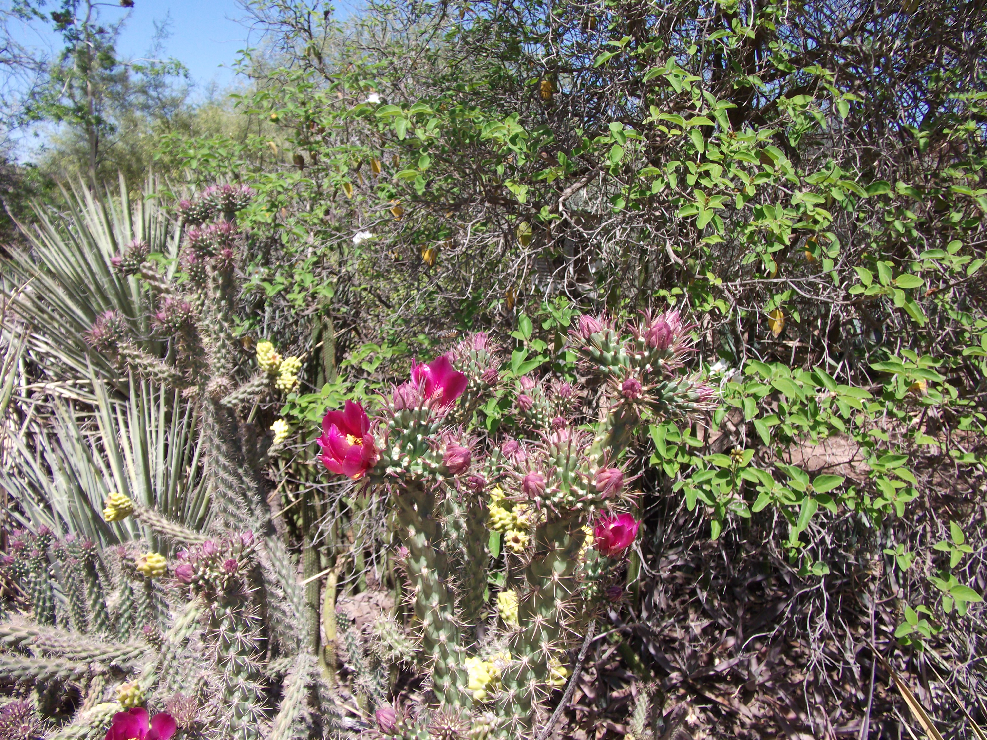 2012_04_28_phxa_092.jpg (large)