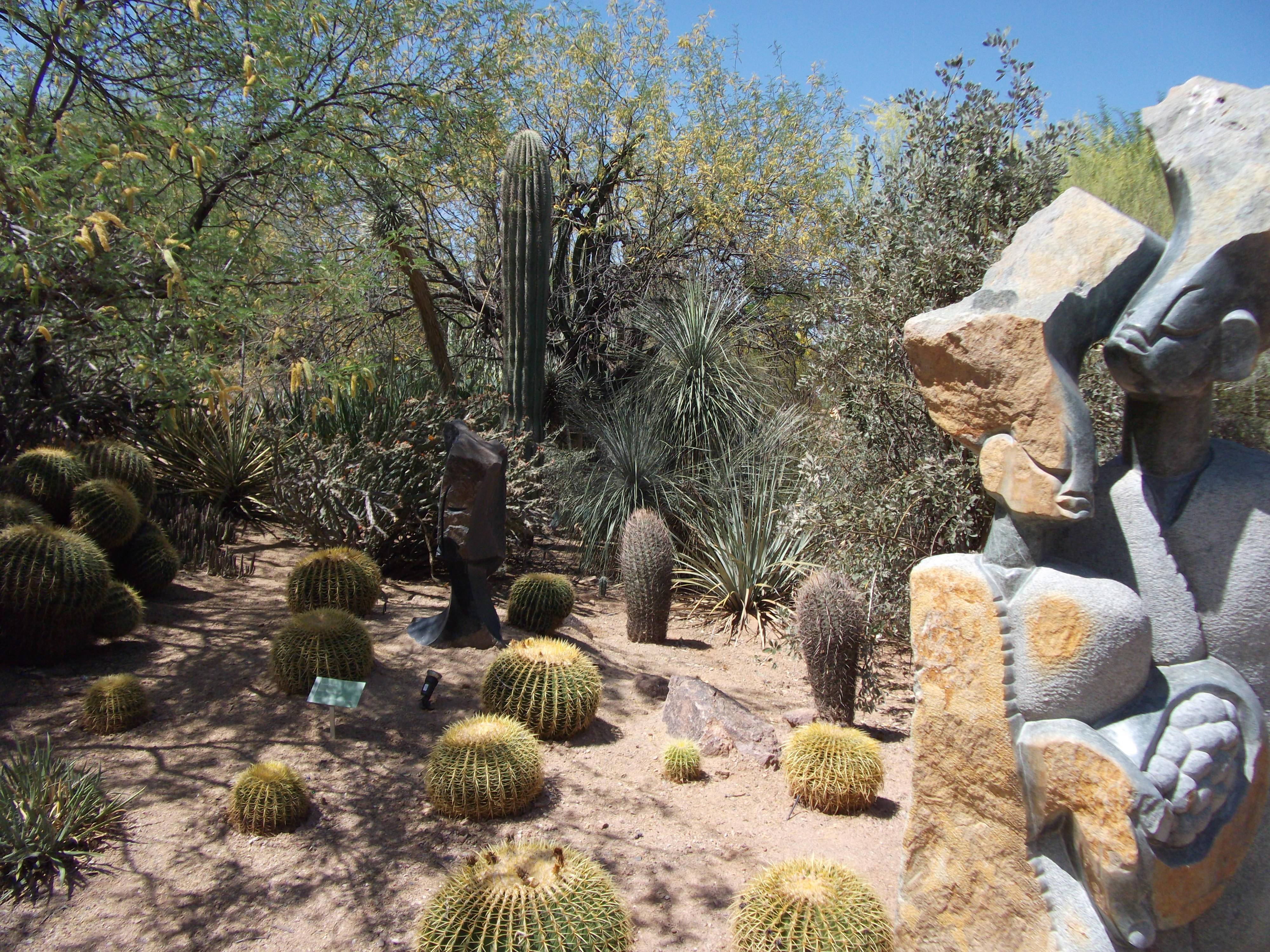 2012_04_28_phxa_095.jpg (large)