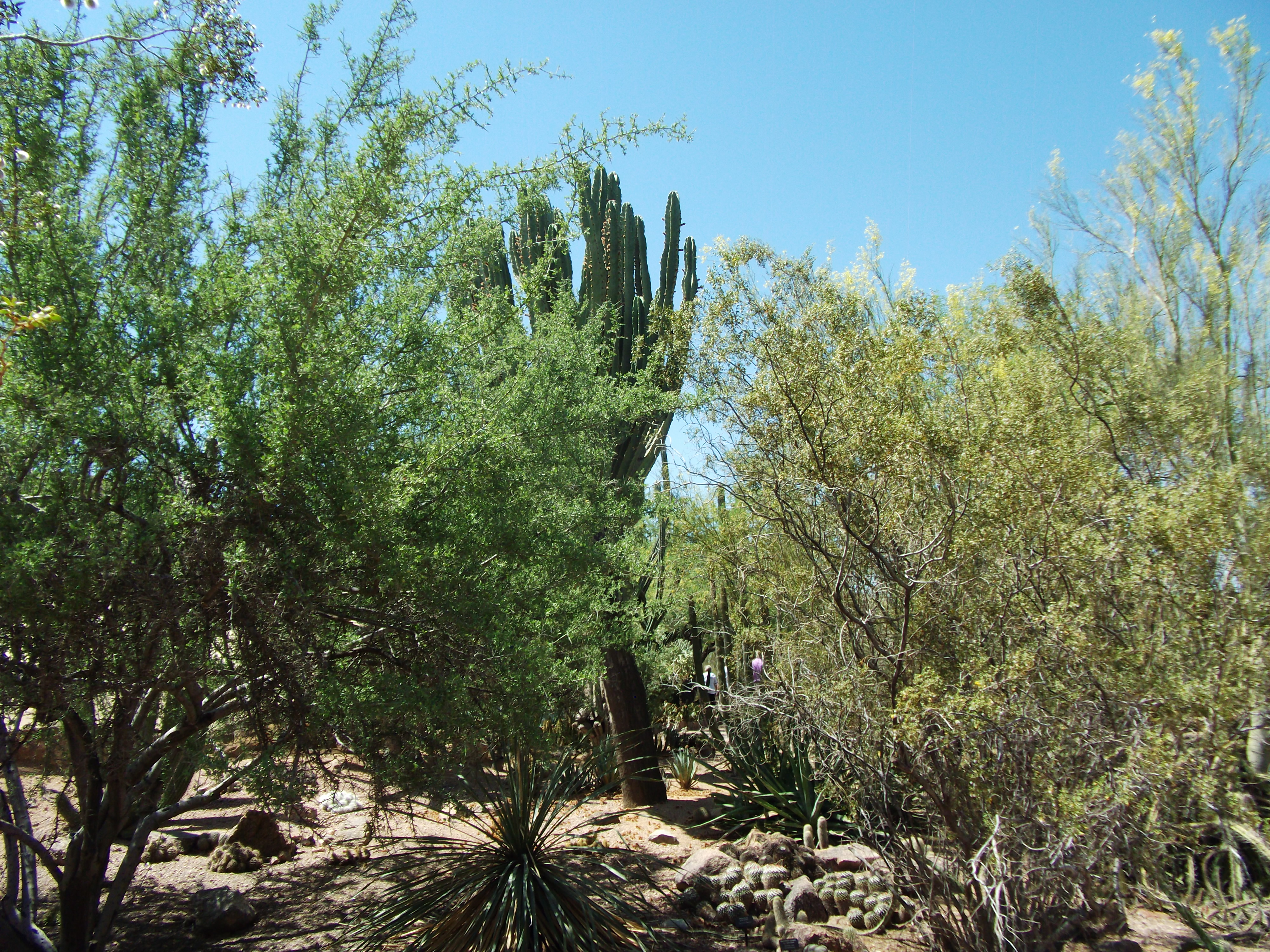 2012_04_28_phxa_101.jpg (large)