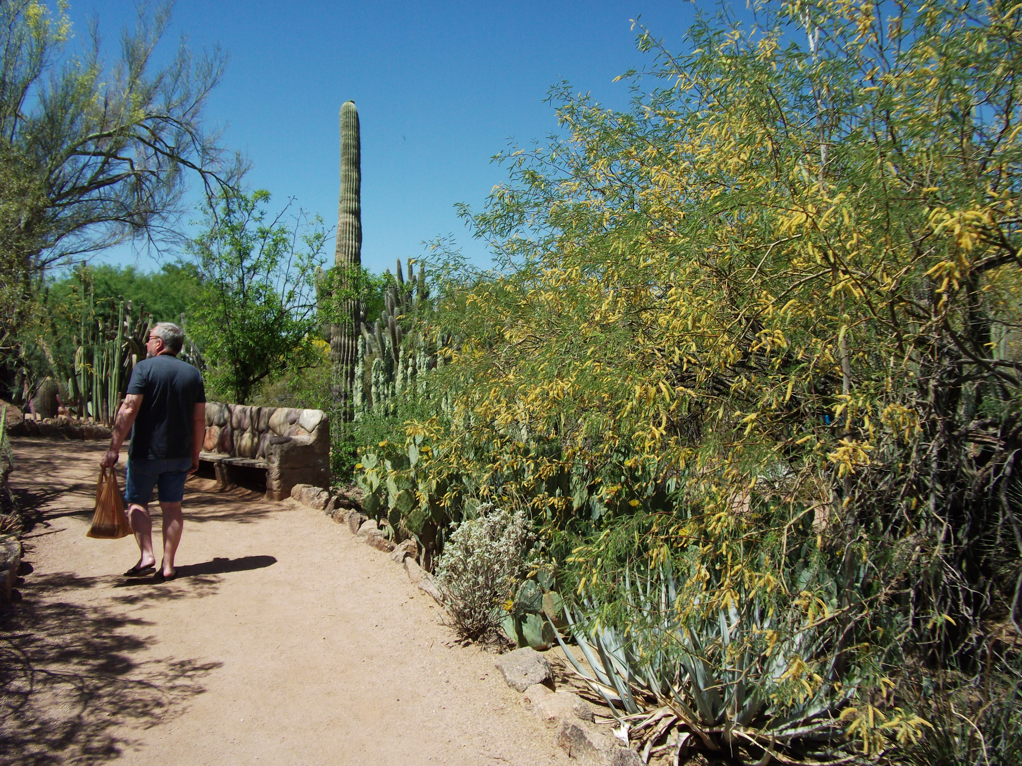 2012_04_28_phxa_102.jpg (large)