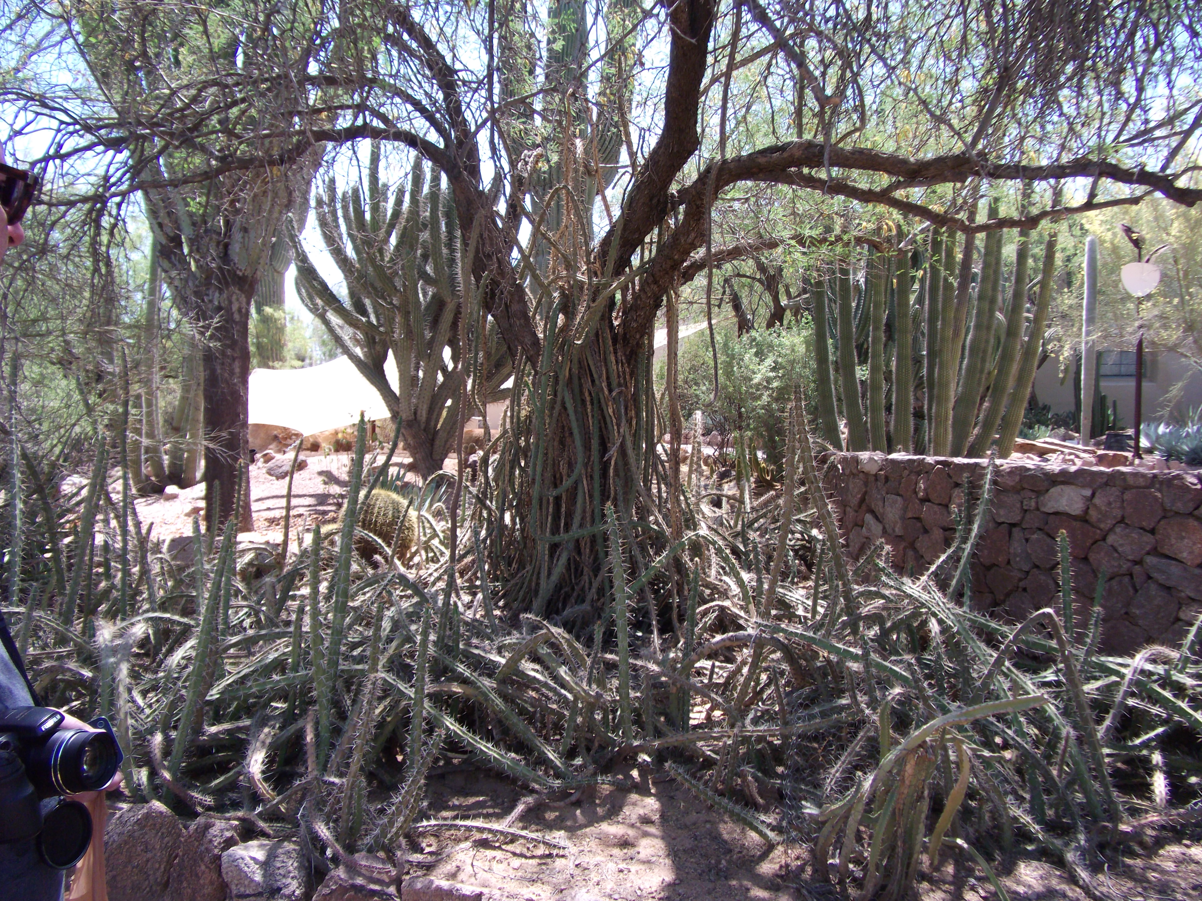 2012_04_28_phxa_104.jpg (large)