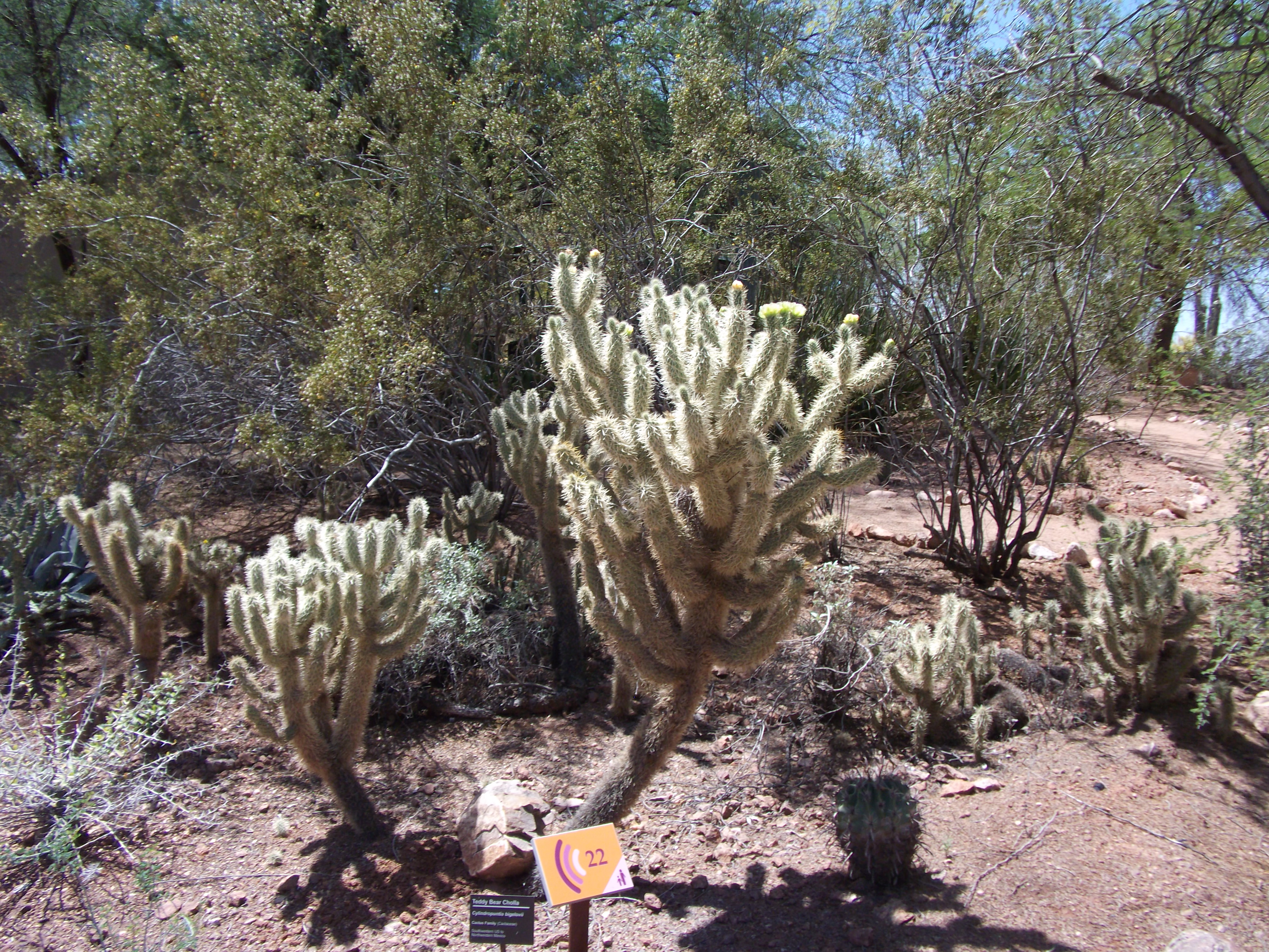 2012_04_28_phxa_108.jpg (large)