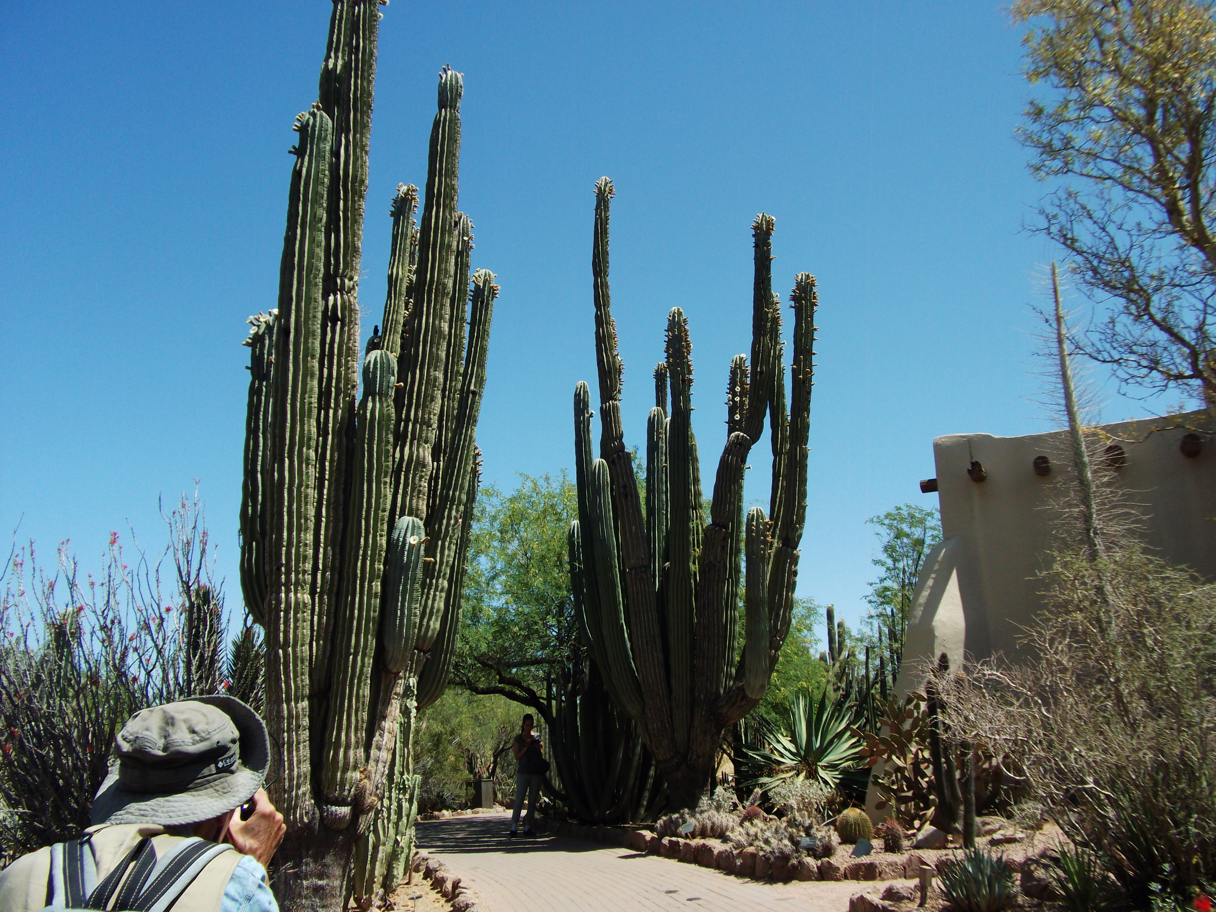 2012_04_28_phxa_109.jpg (large)