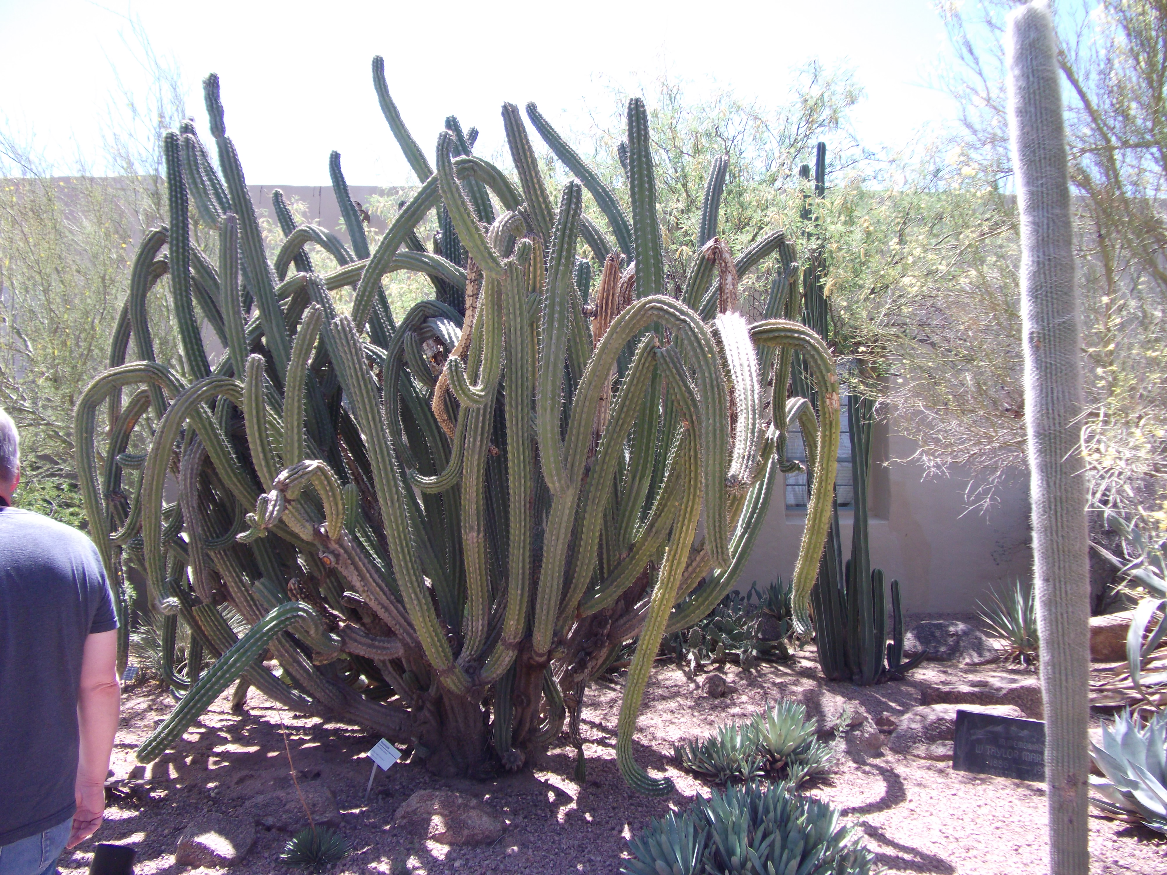 2012_04_28_phxa_116.jpg (large)