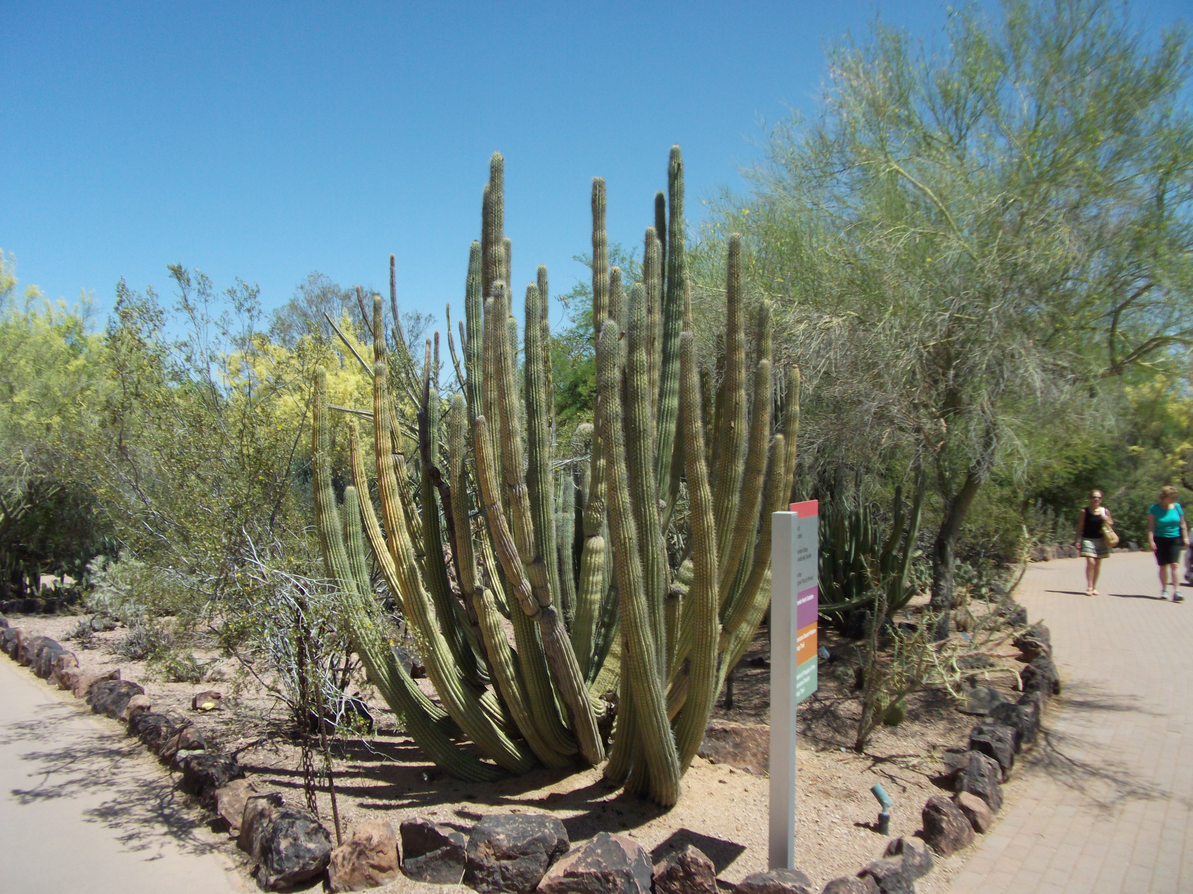 2012_04_28_phxa_117.jpg (large)