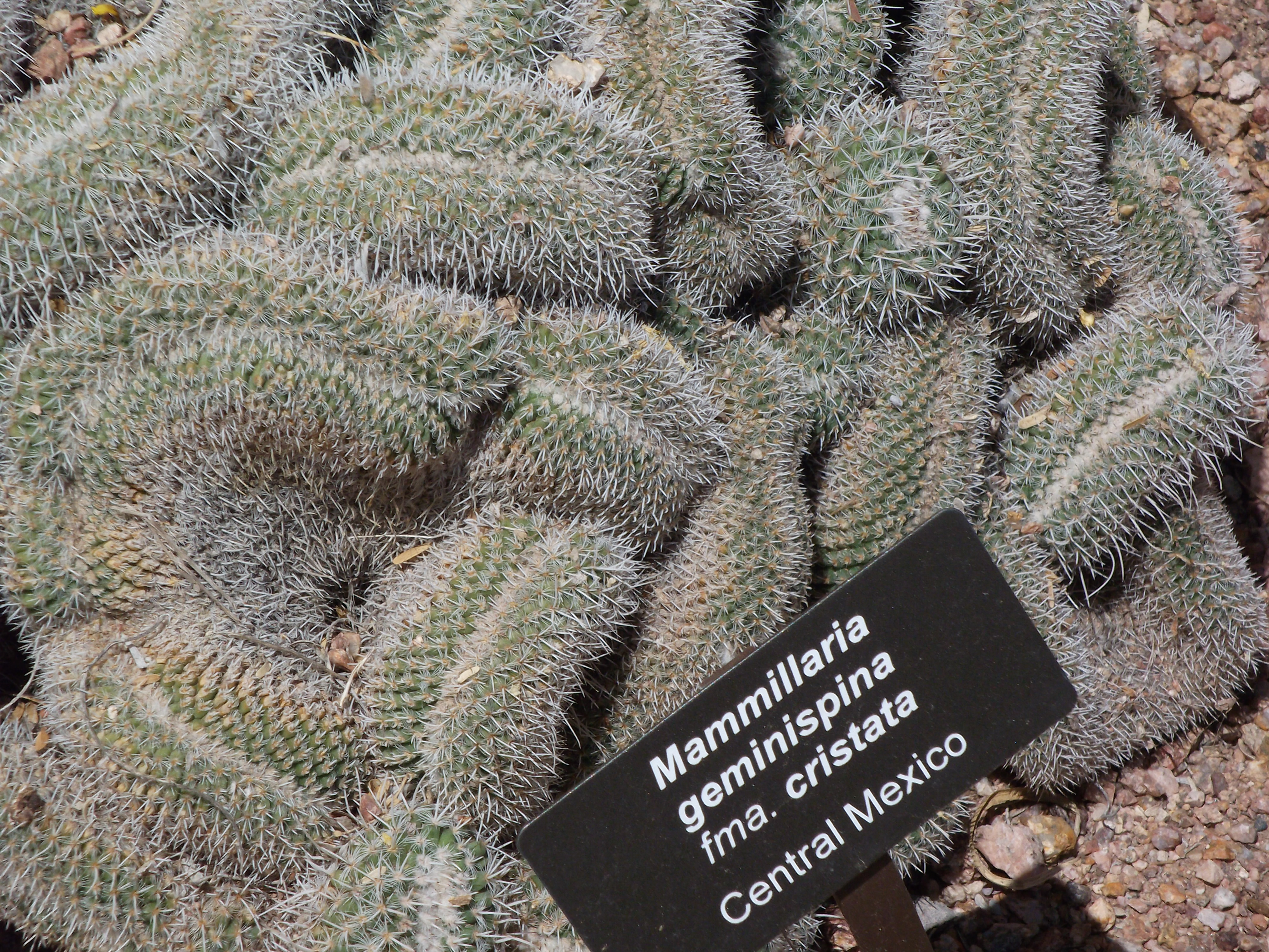 2012_04_28_phxa_118.jpg (large)