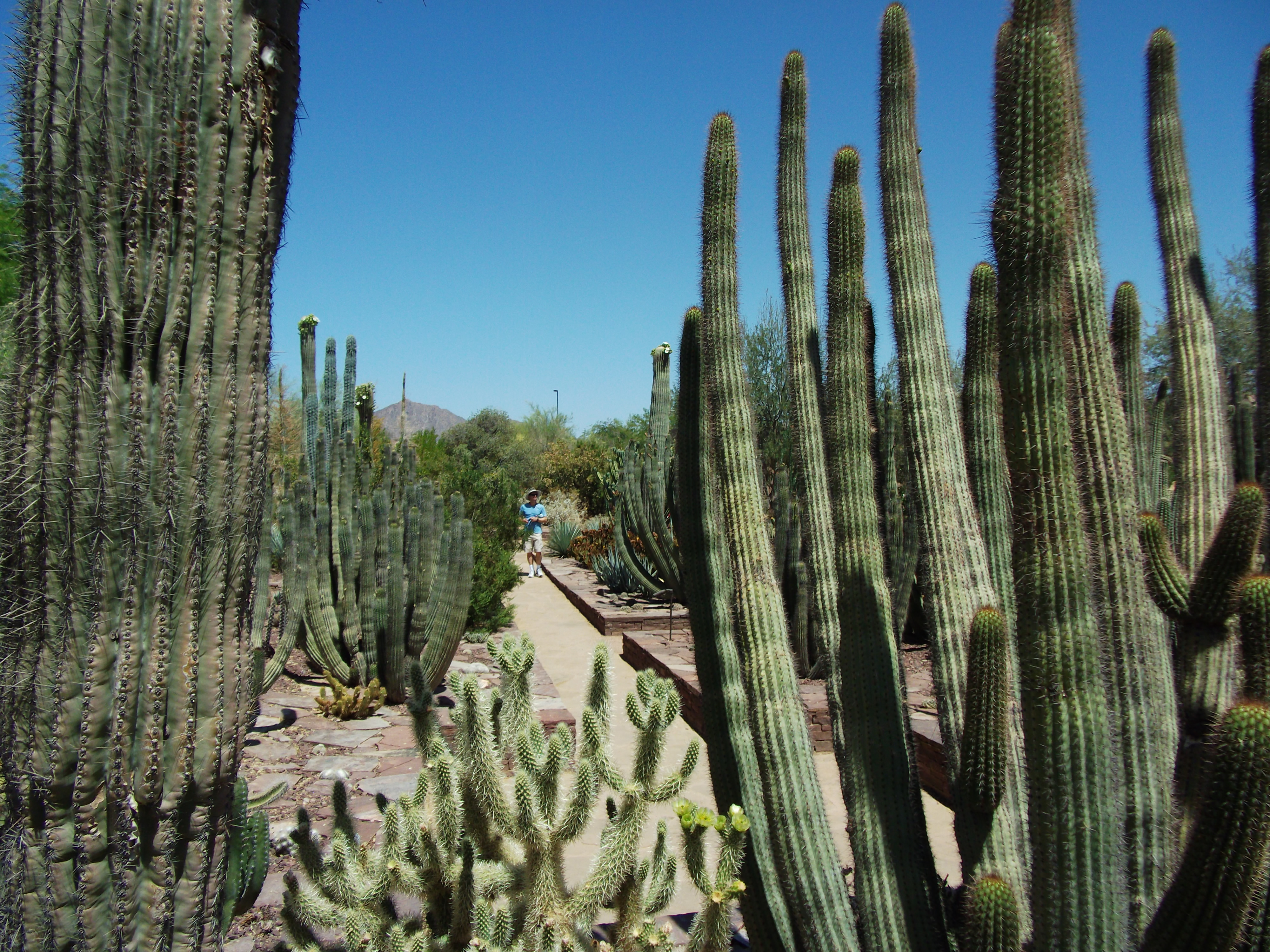 2012_04_28_phxa_122.jpg (large)