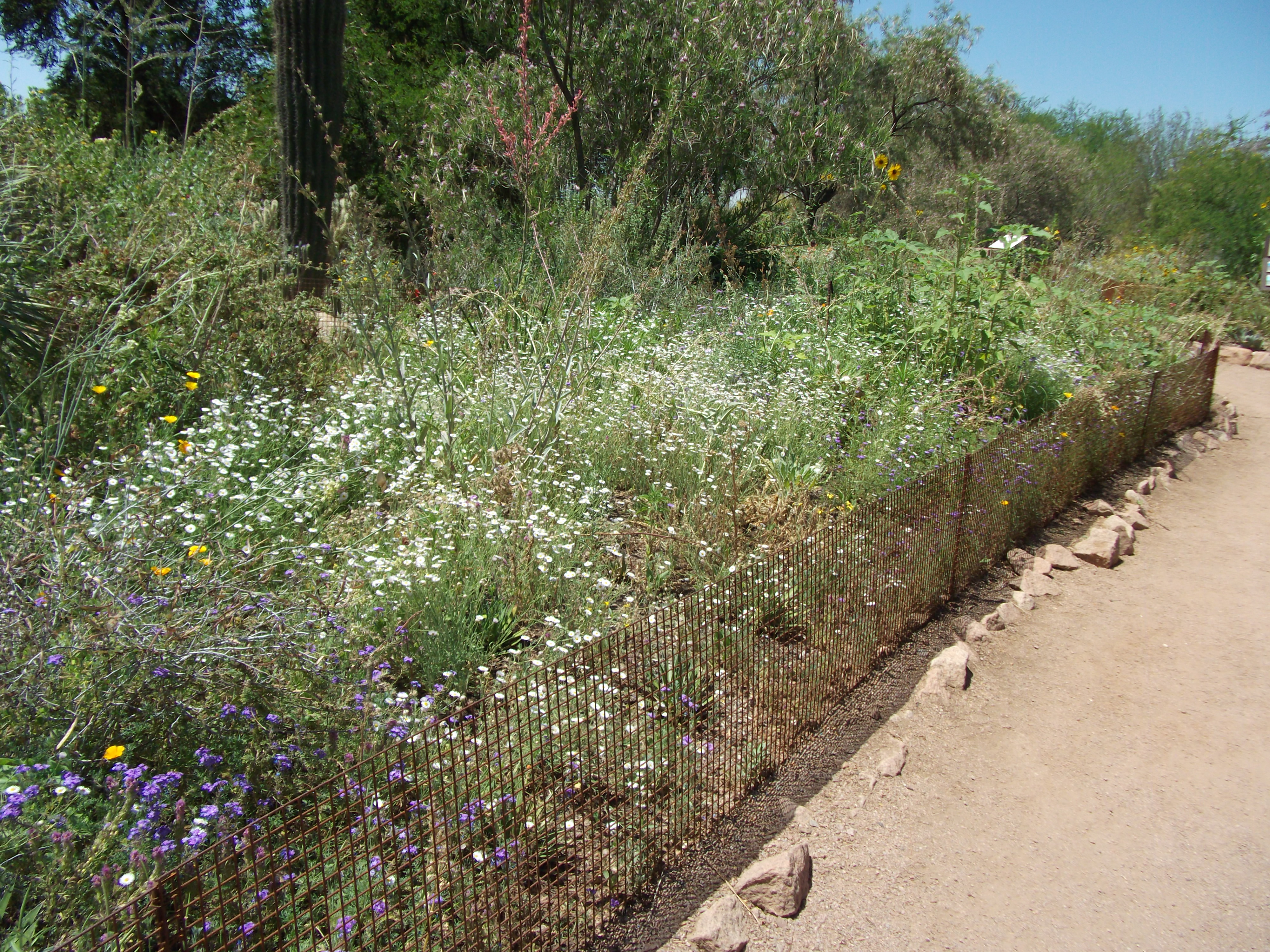 2012_04_28_phxa_124.jpg (large)