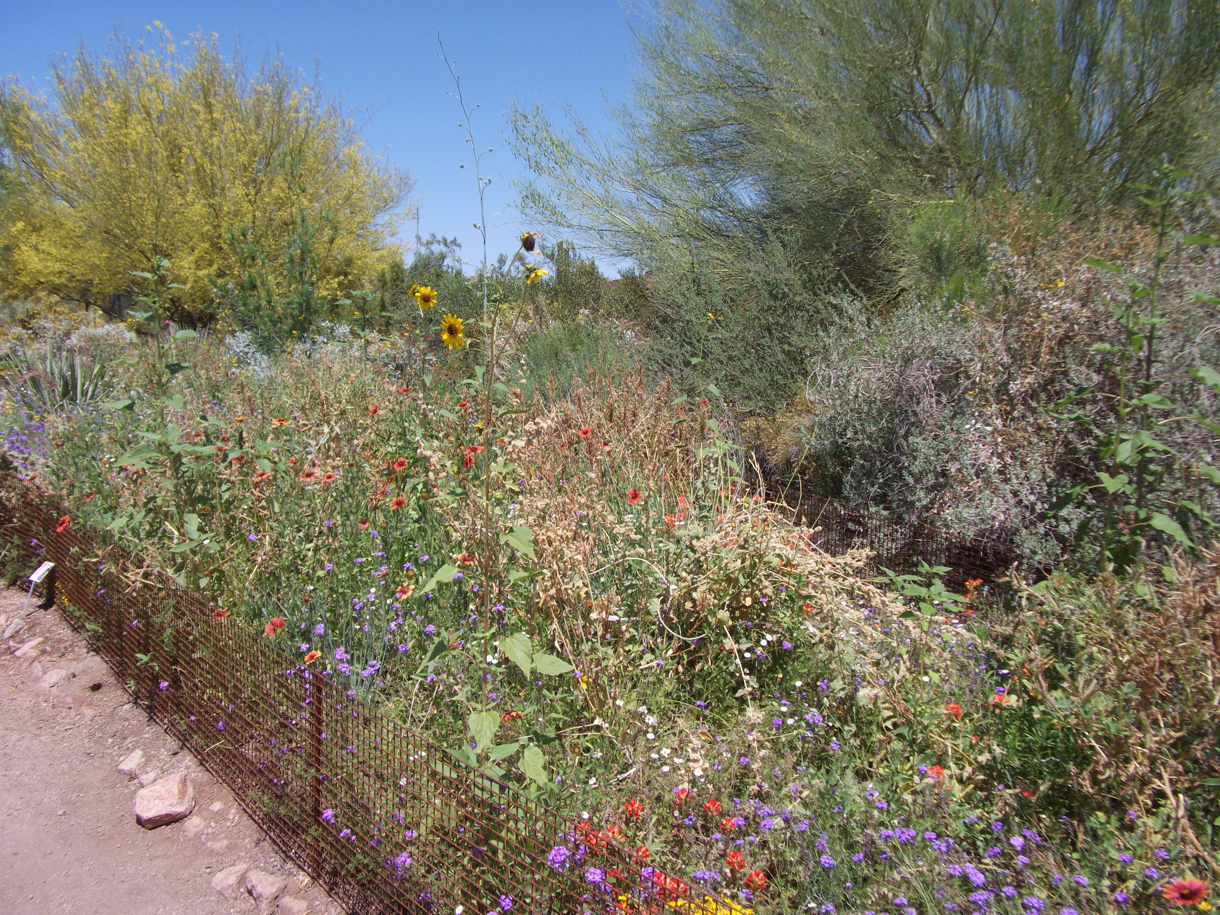 2012_04_28_phxa_126.jpg (large)