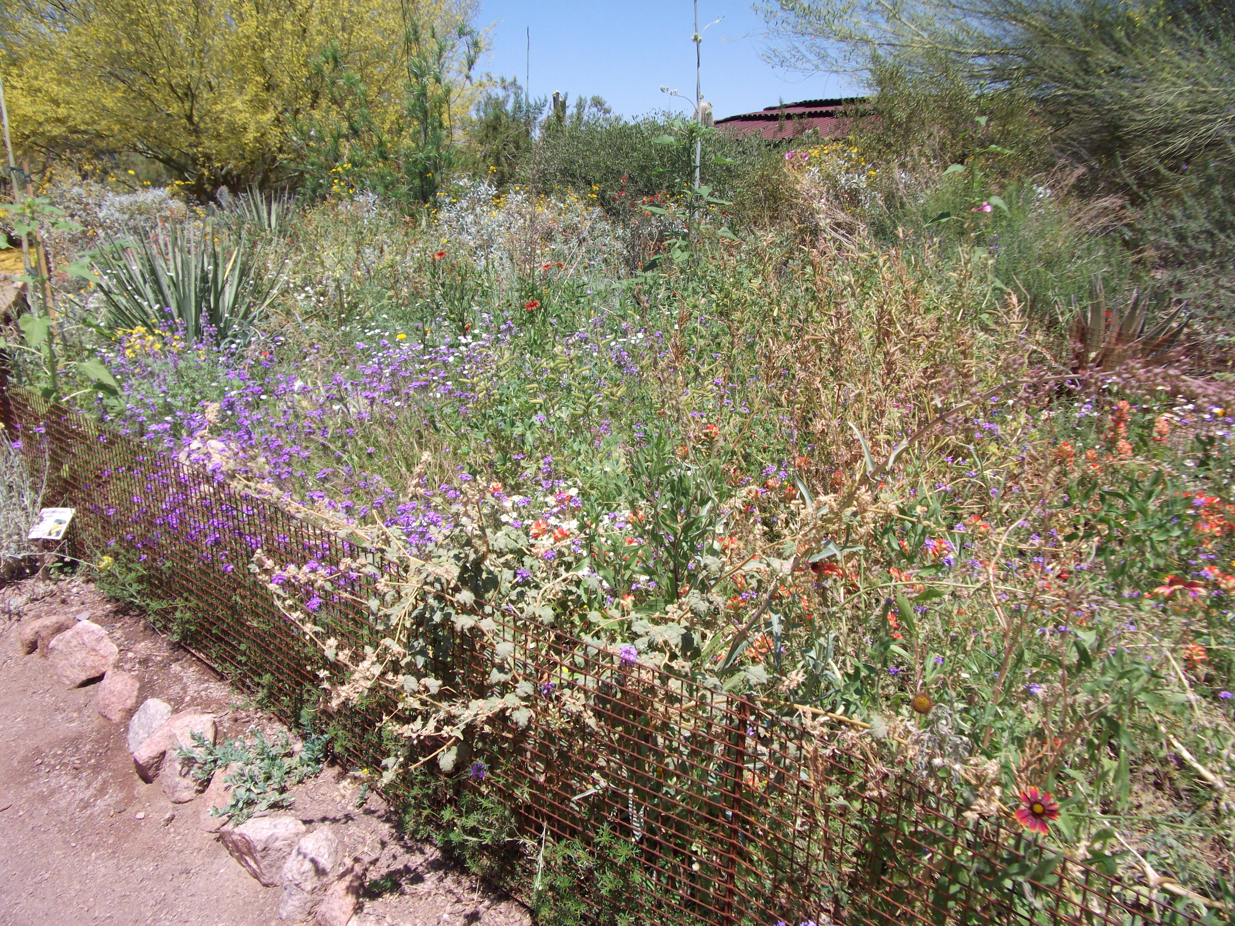 2012_04_28_phxa_128.jpg (large)