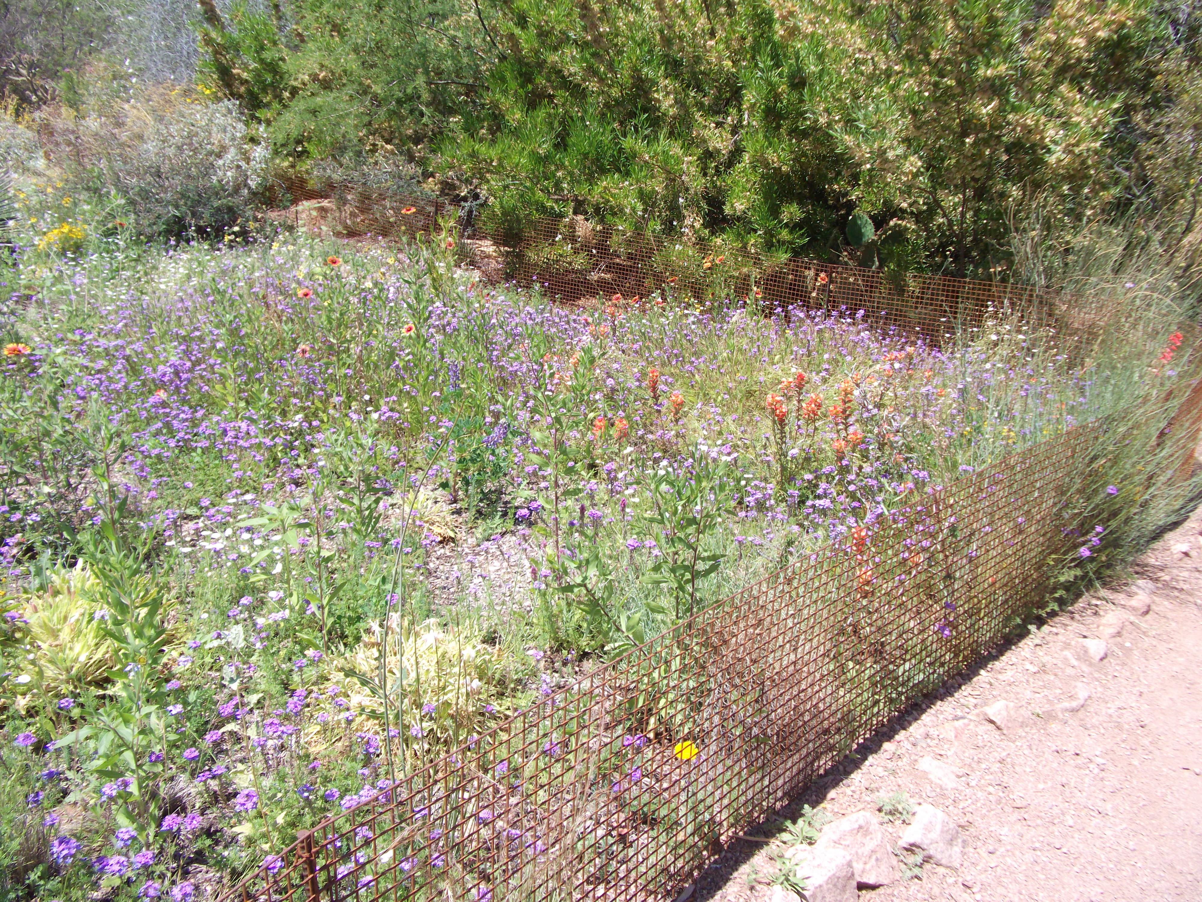 2012_04_28_phxa_129.jpg (large)