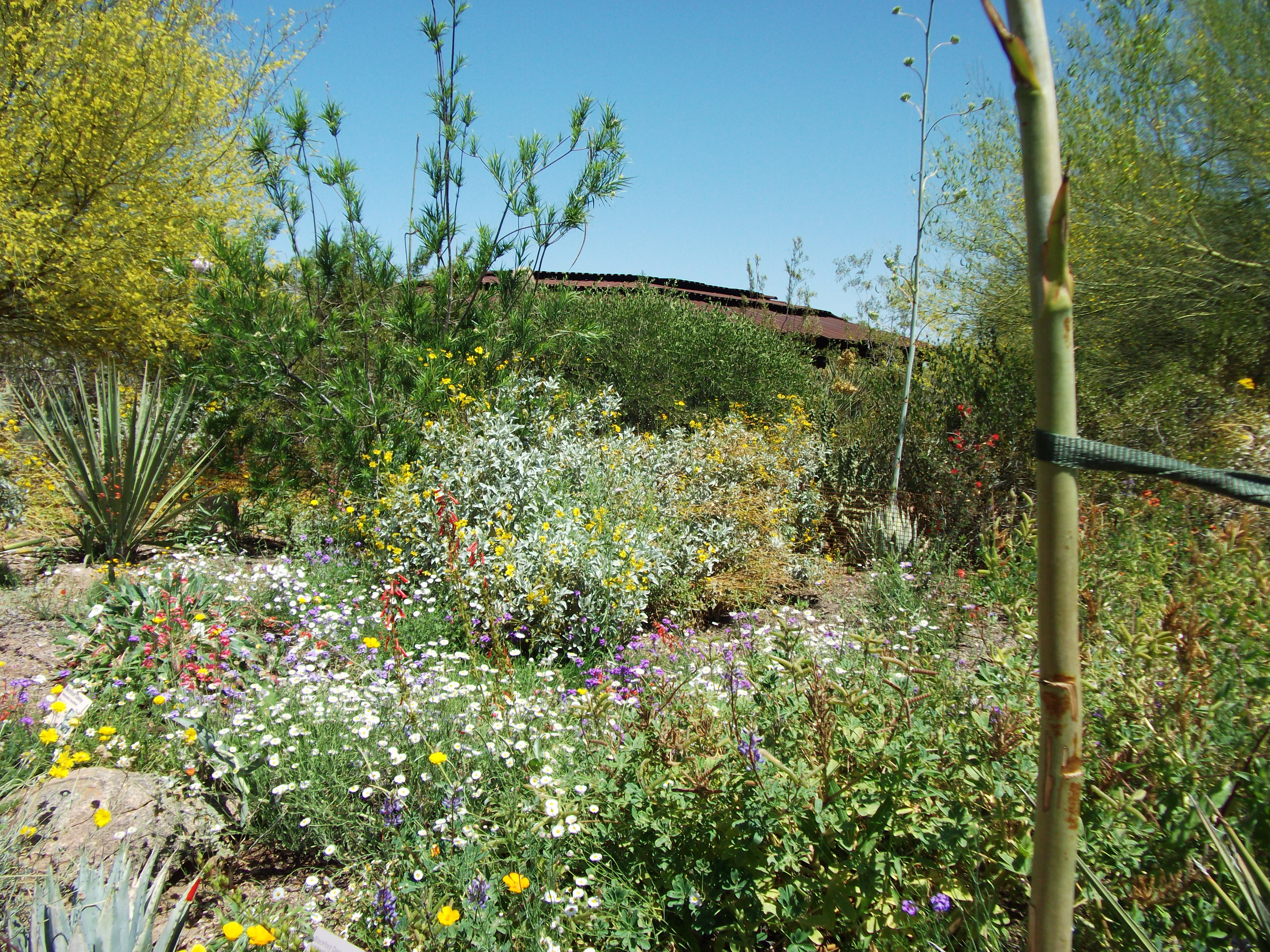 2012_04_28_phxa_130.jpg (large)